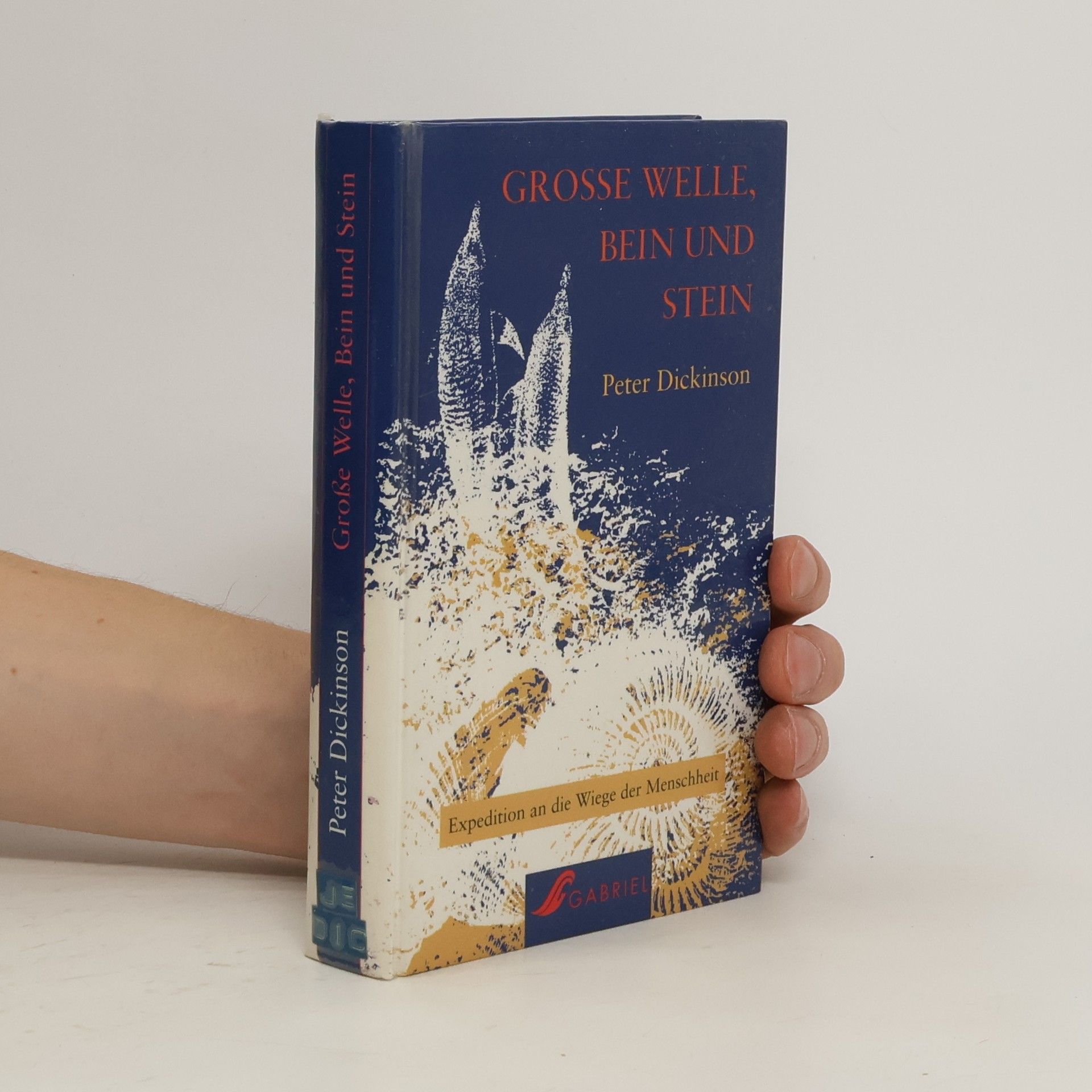 Peter Dickinson Grosse Welle, Bein und Stein
