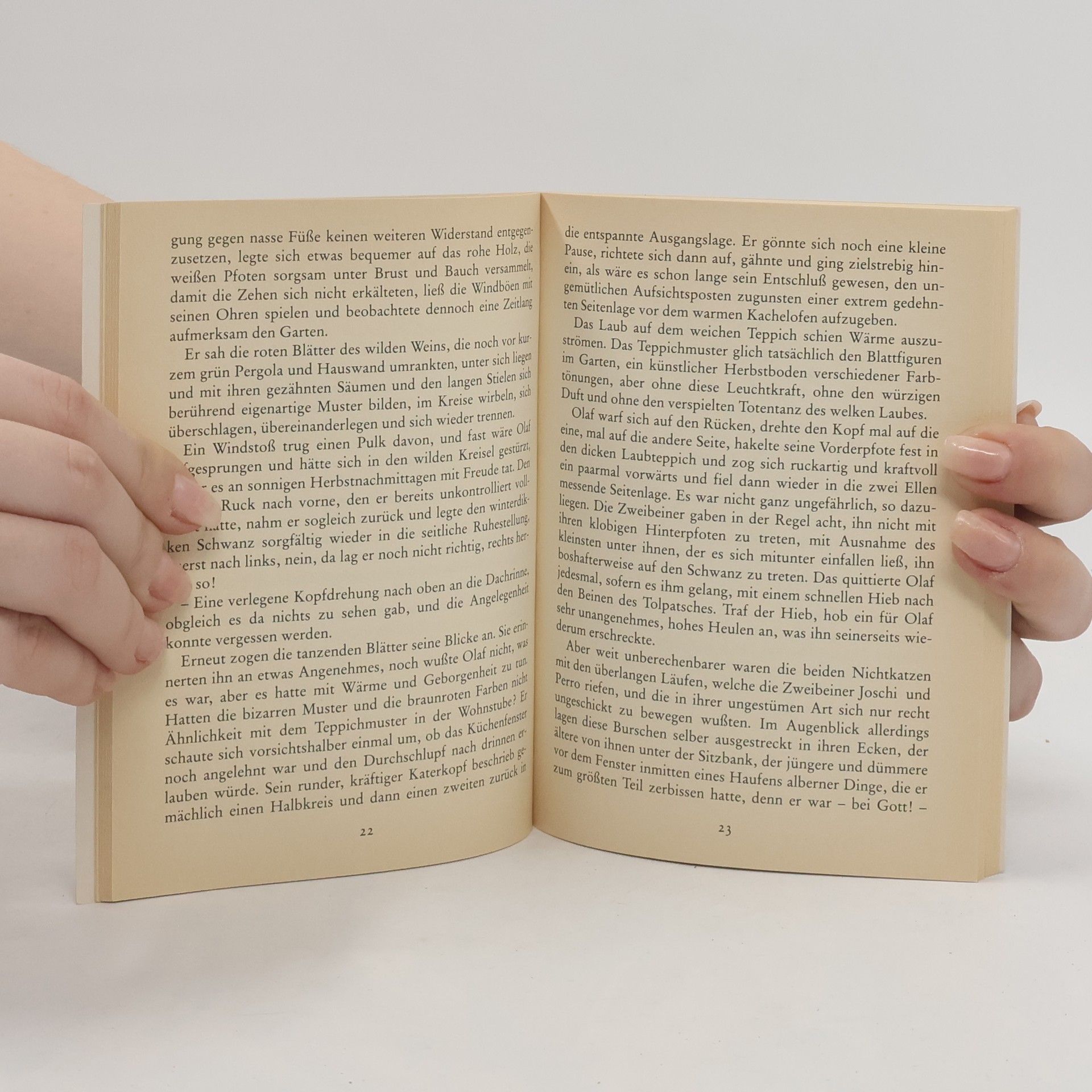 Autores varios Klitzekleines Katzenbuch