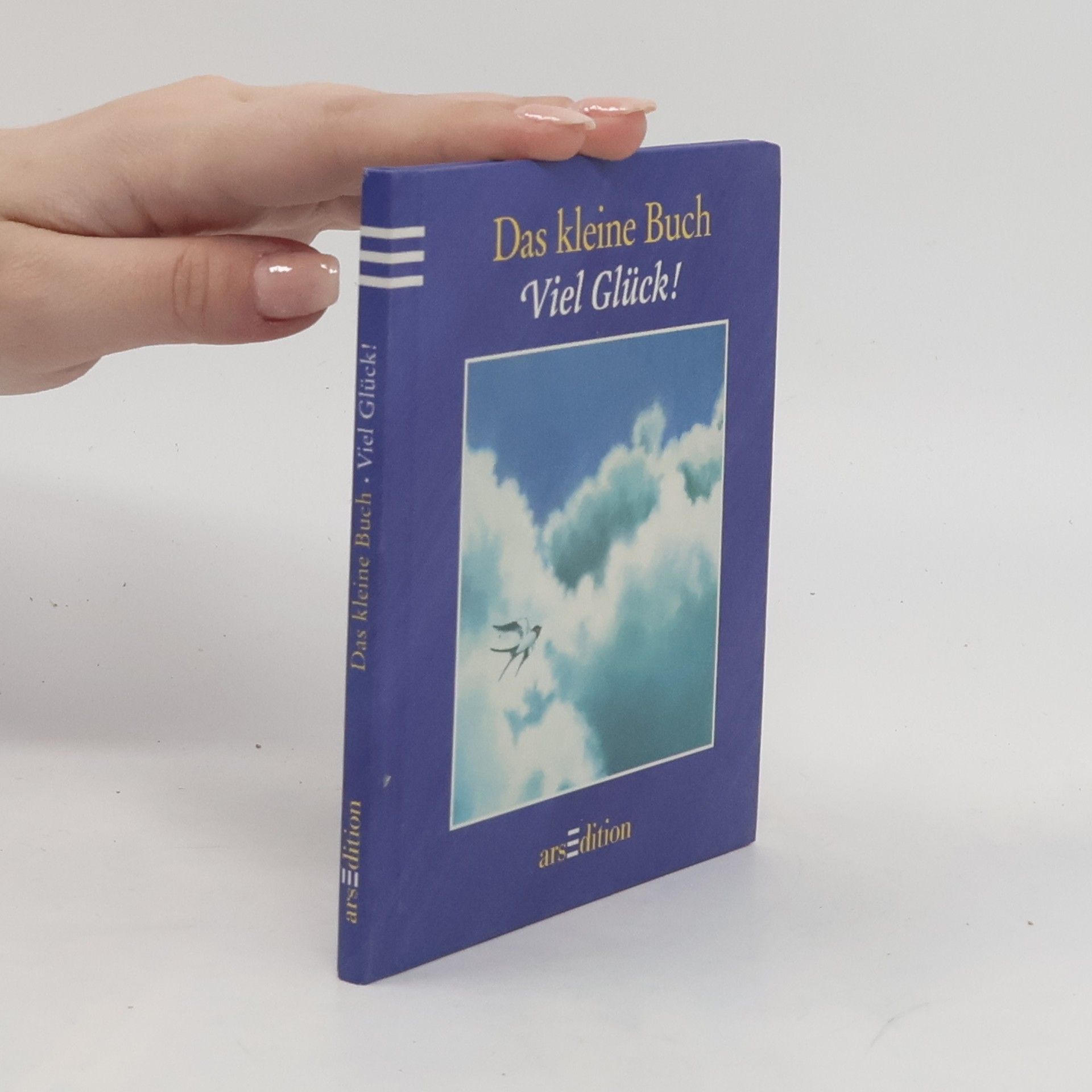 kolektiv Das kleine Buch - viel Glück!