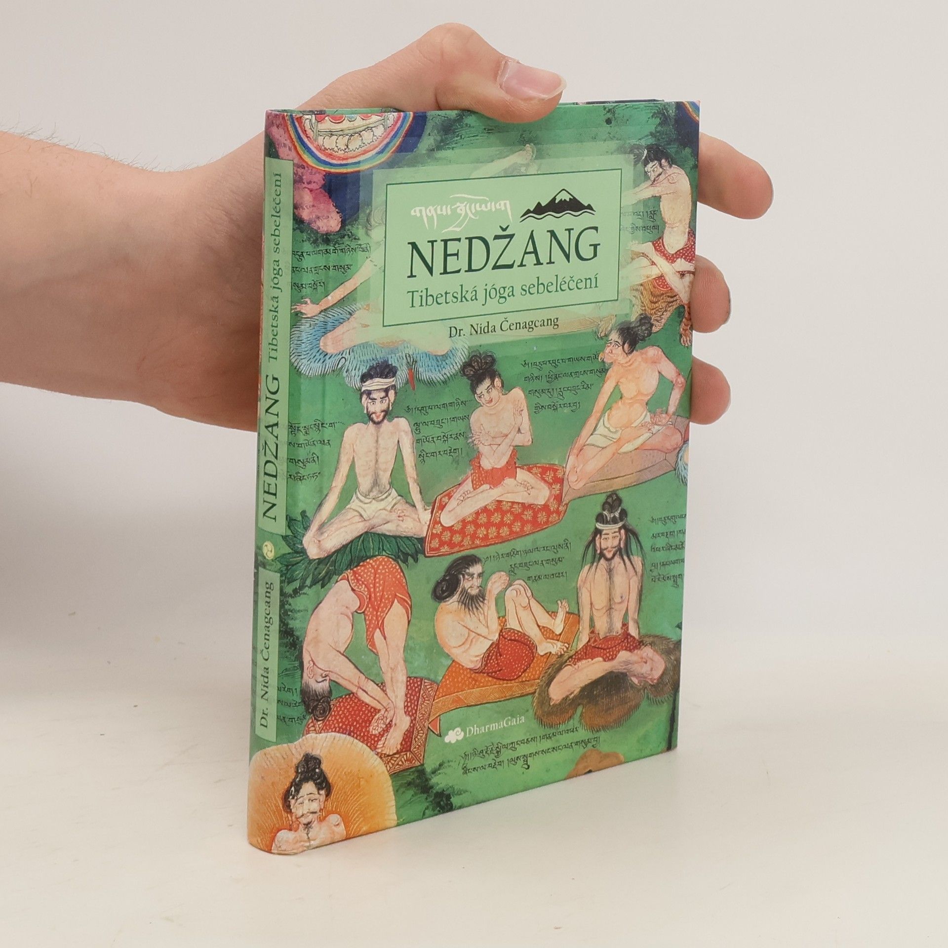 Nida Čenagcang Nedžang. Tibetská jóga sebeléčení