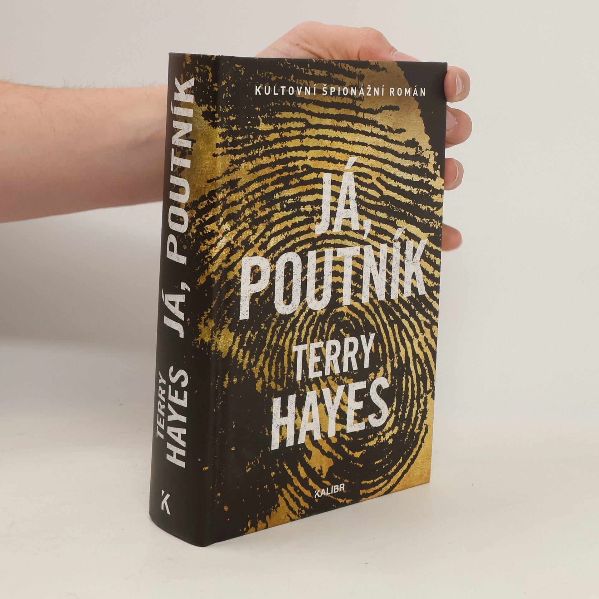 Terry Hayes Já, Poutník