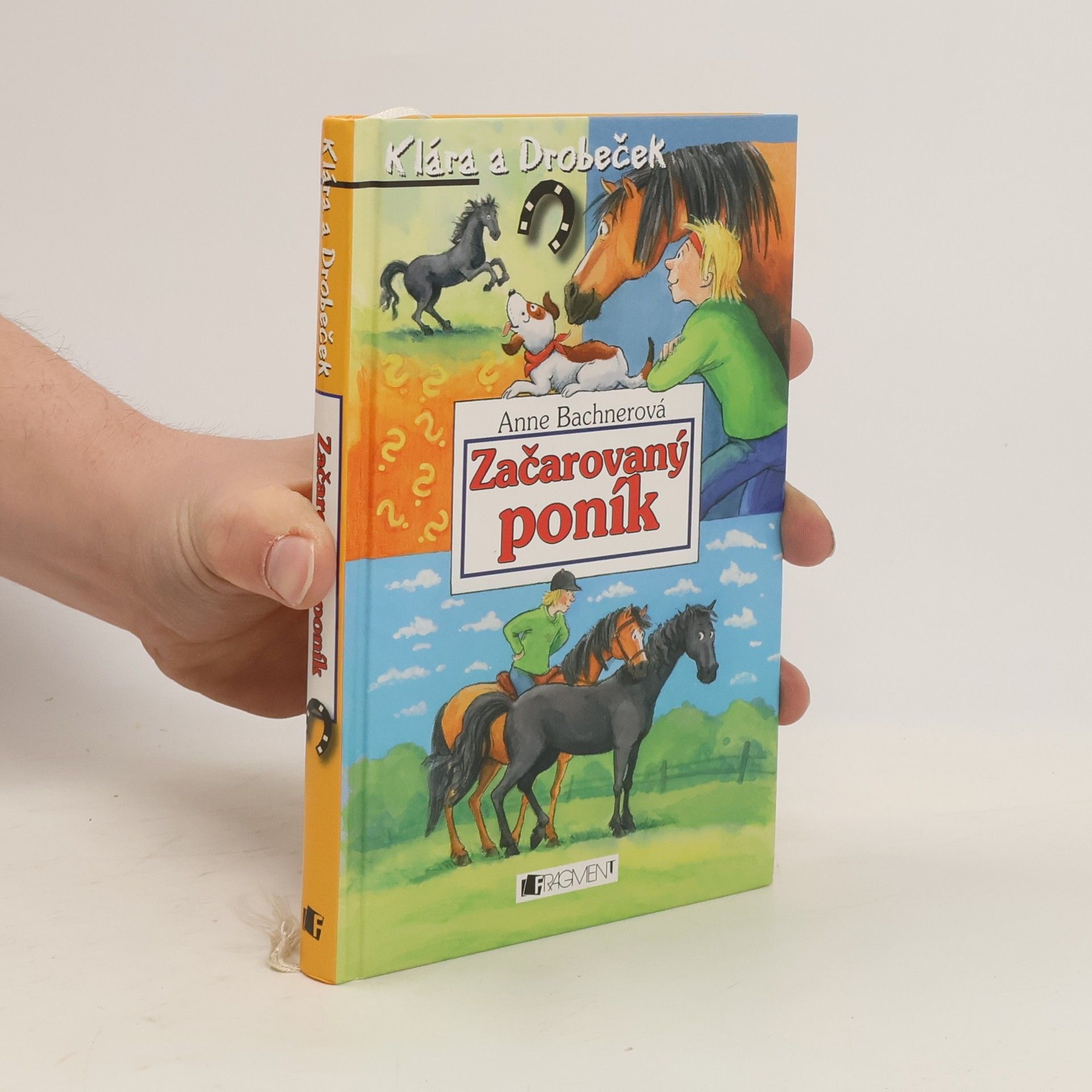 Anne Bachner Začarovaný poník