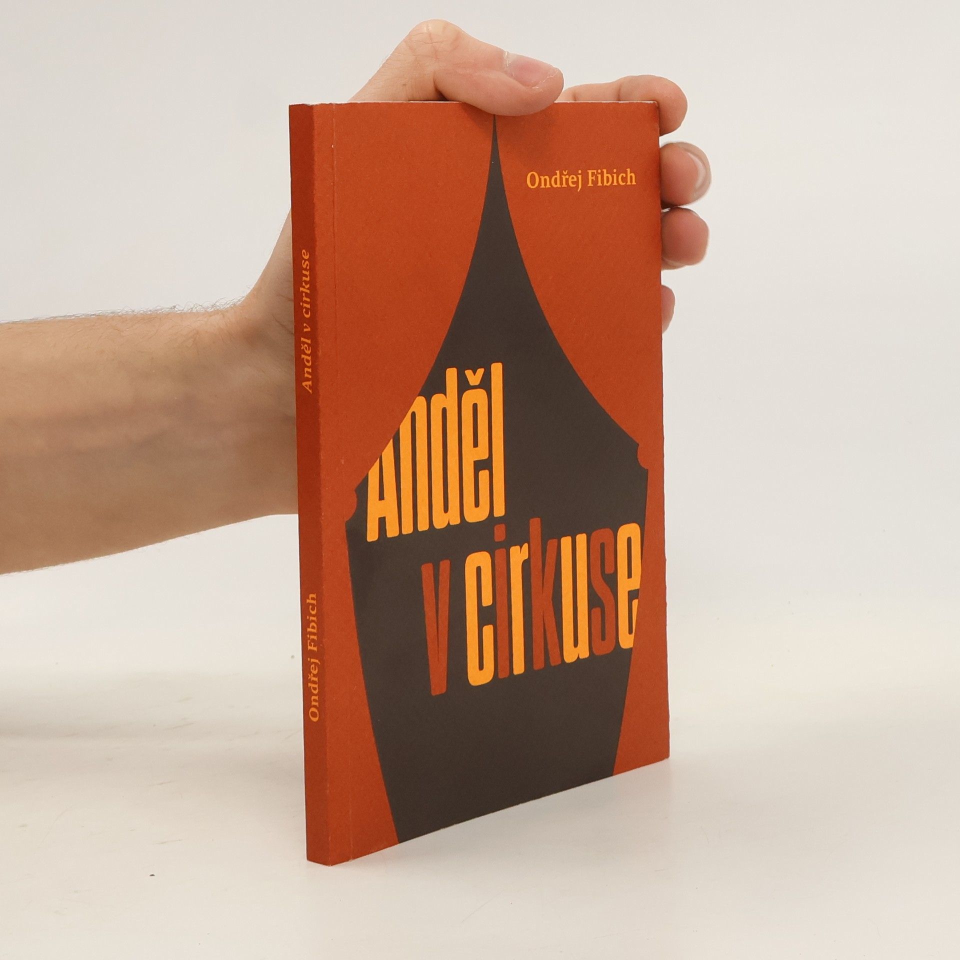 Ondřej Fibich Anděl v cirkuse