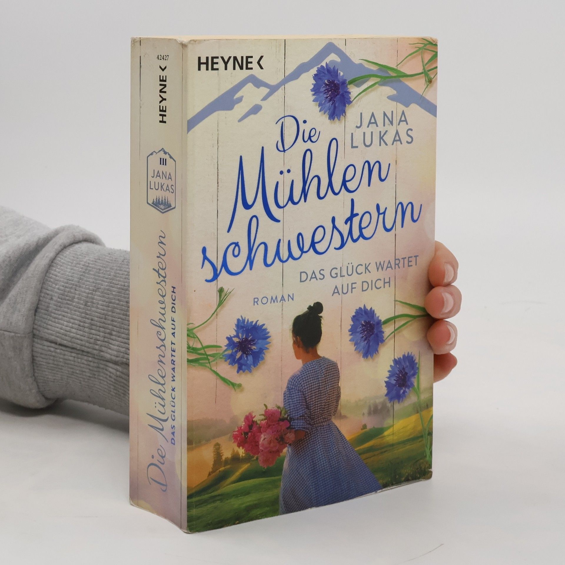 Jana Lukas Die Mühlenschwestern - Das Glück wartet auf dich
