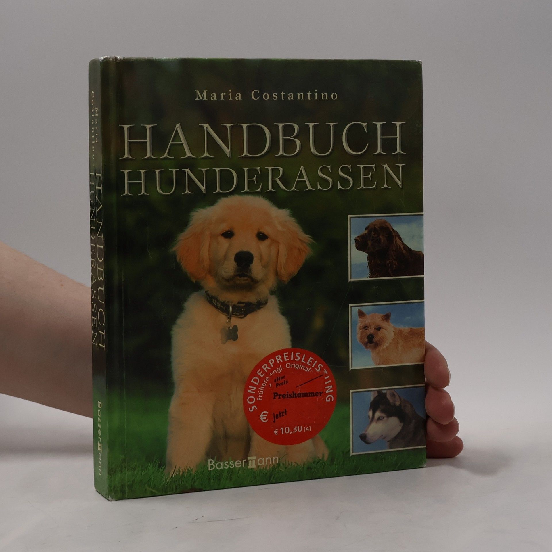 Maria Constantino Handbuch Hunderassen