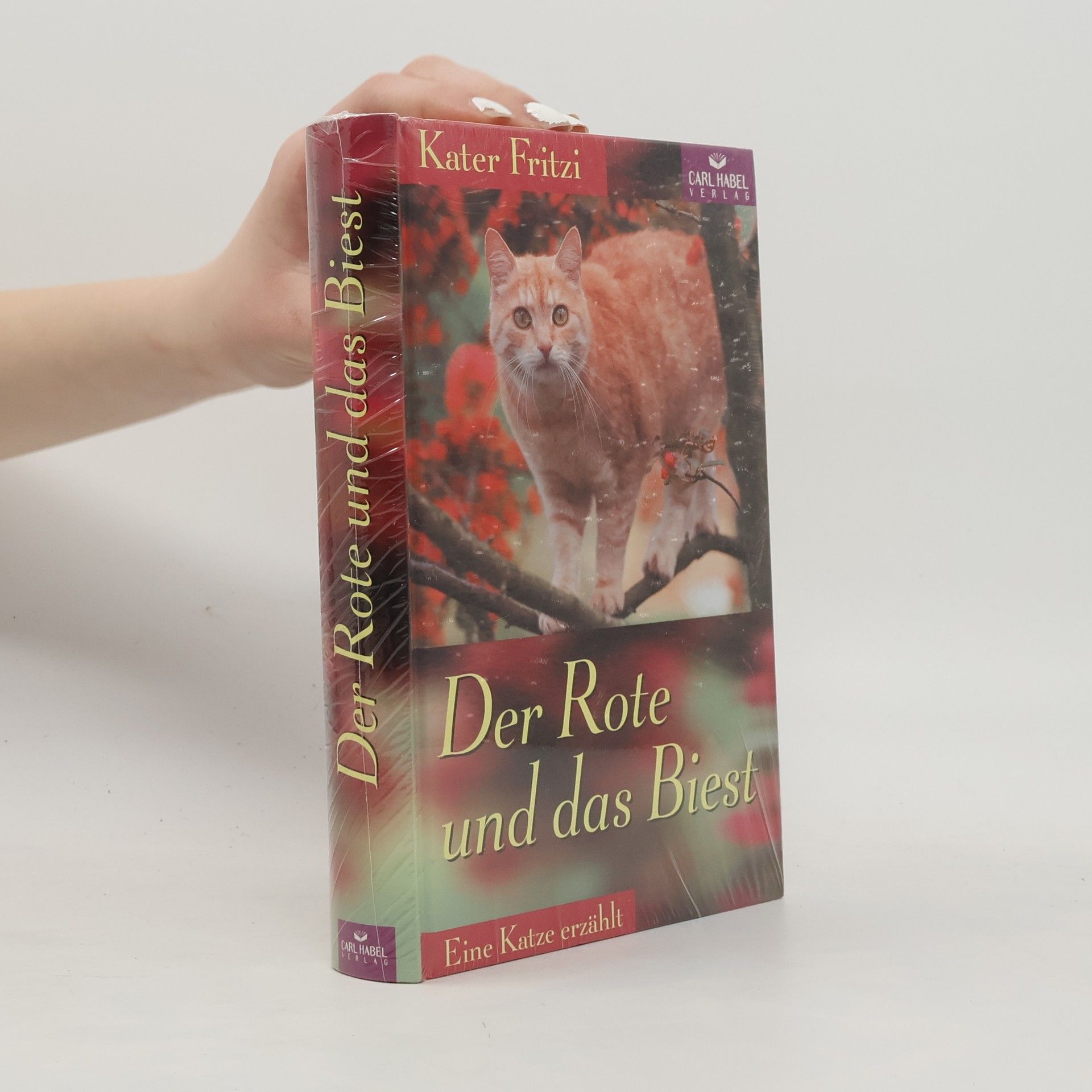 Doris. Malsch Kater Fritzi. Der Rote und das Biest