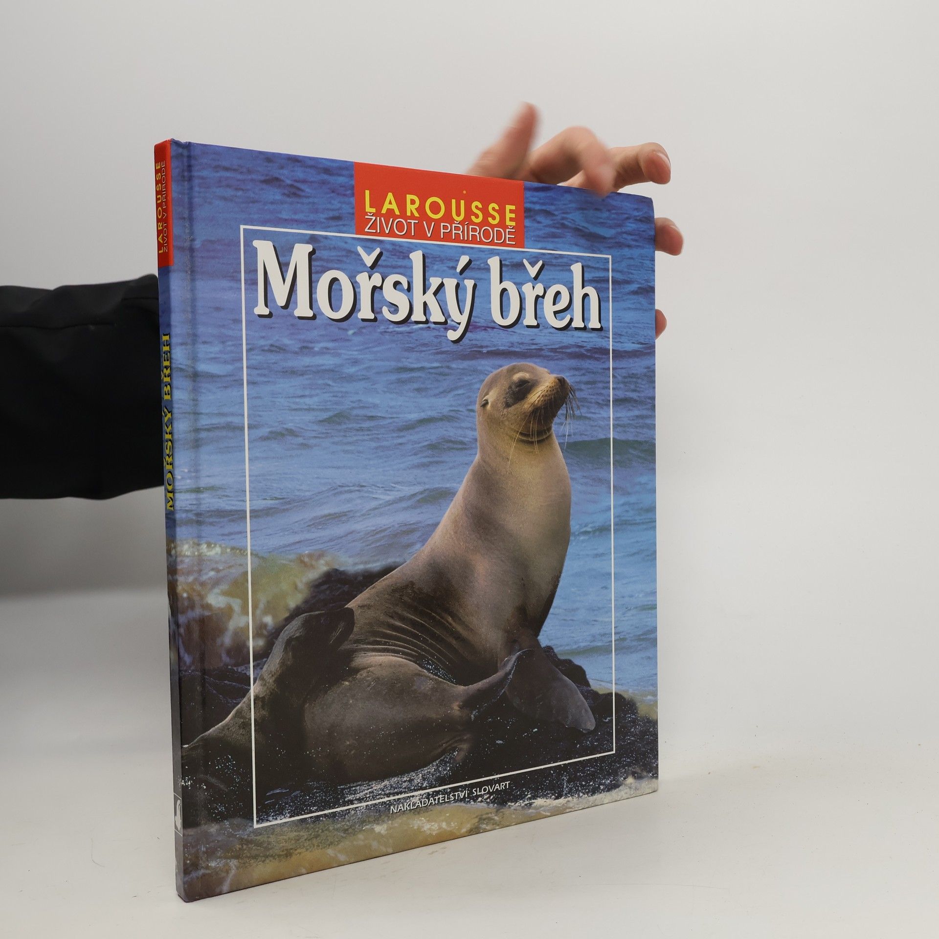 kolektiv Mořský břeh