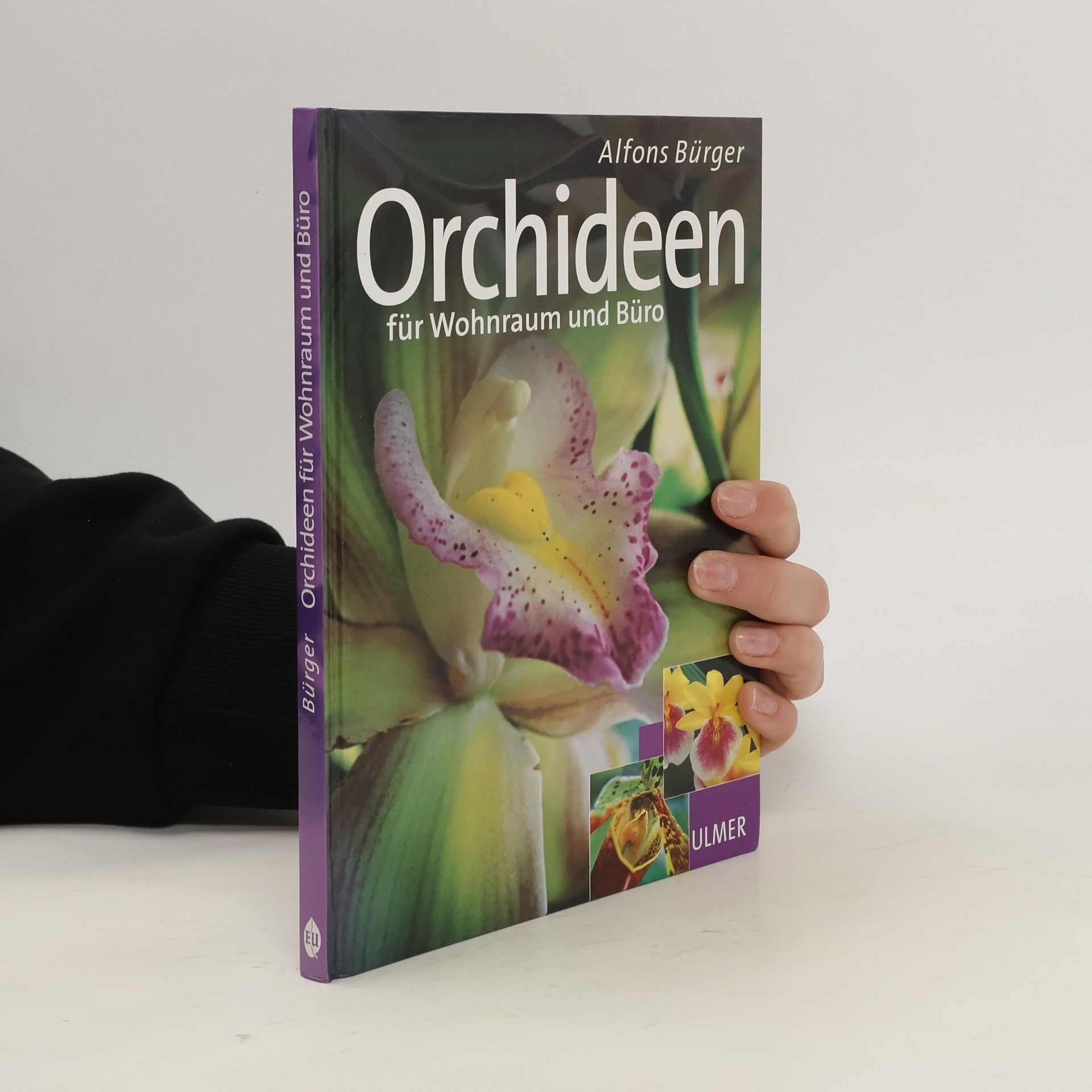 Alfons Burger Orchideen für Wohnraum und Büro