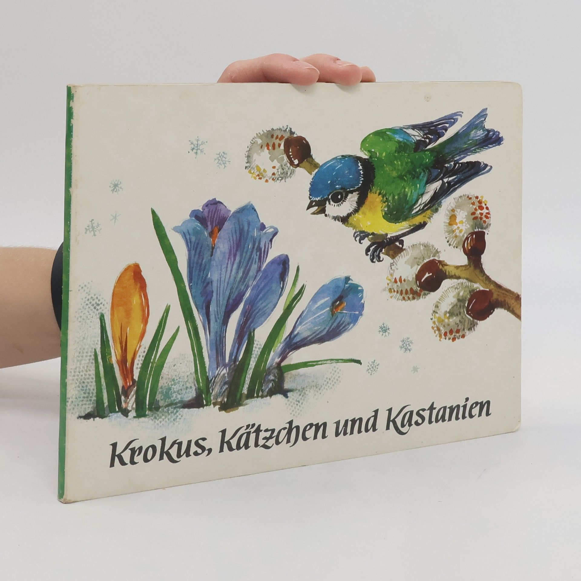 kolektiv Krokus, Kätzchen und Kastanien