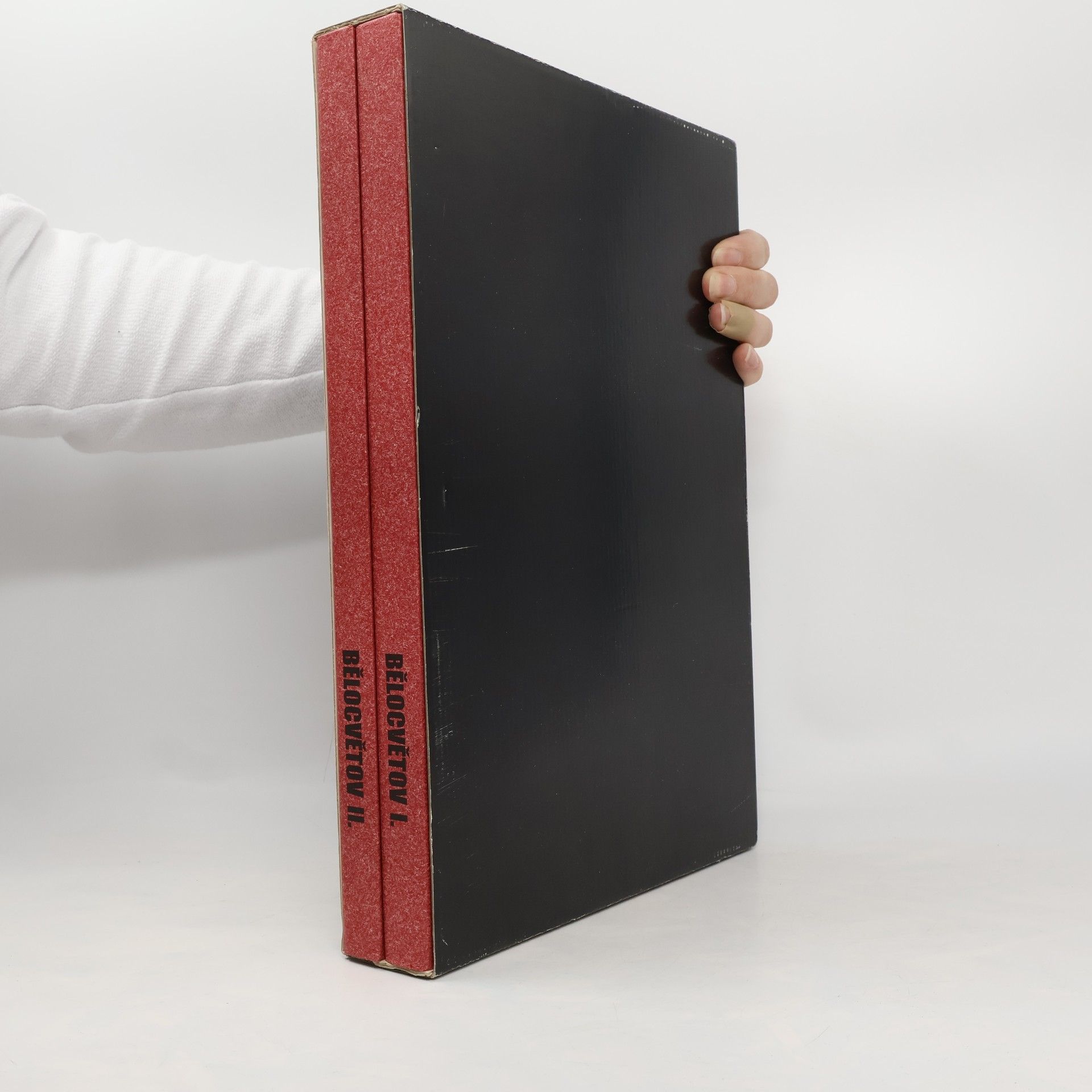 Kolektív autorov Andrej Bělocvětov I.+II.