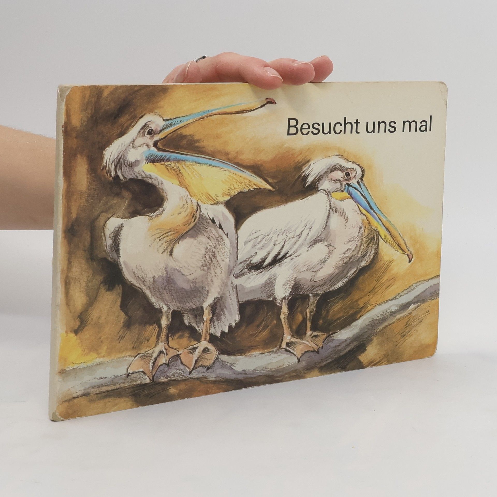 Reiner Zieger Besucht uns mal