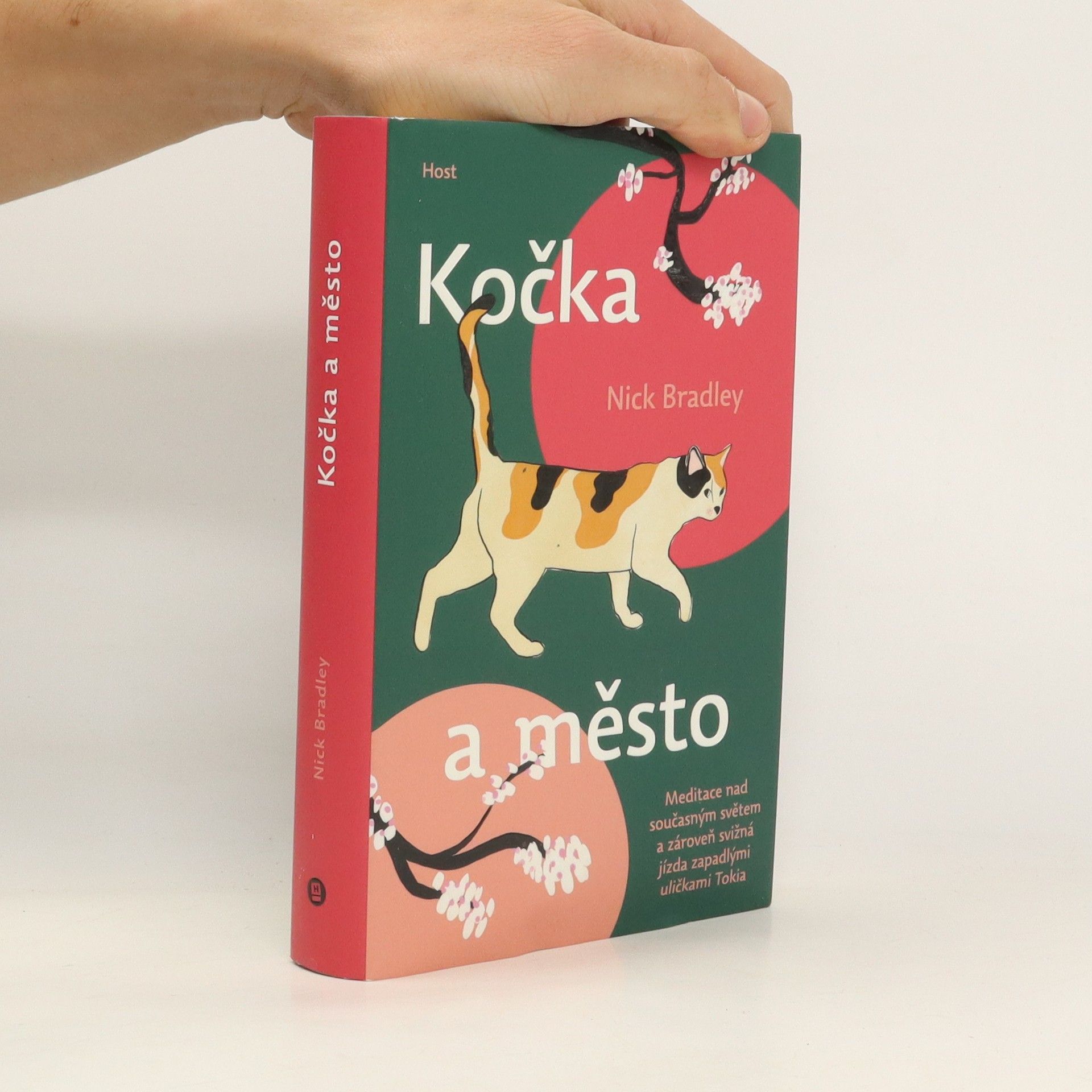 Nick Bradley Kočka a město