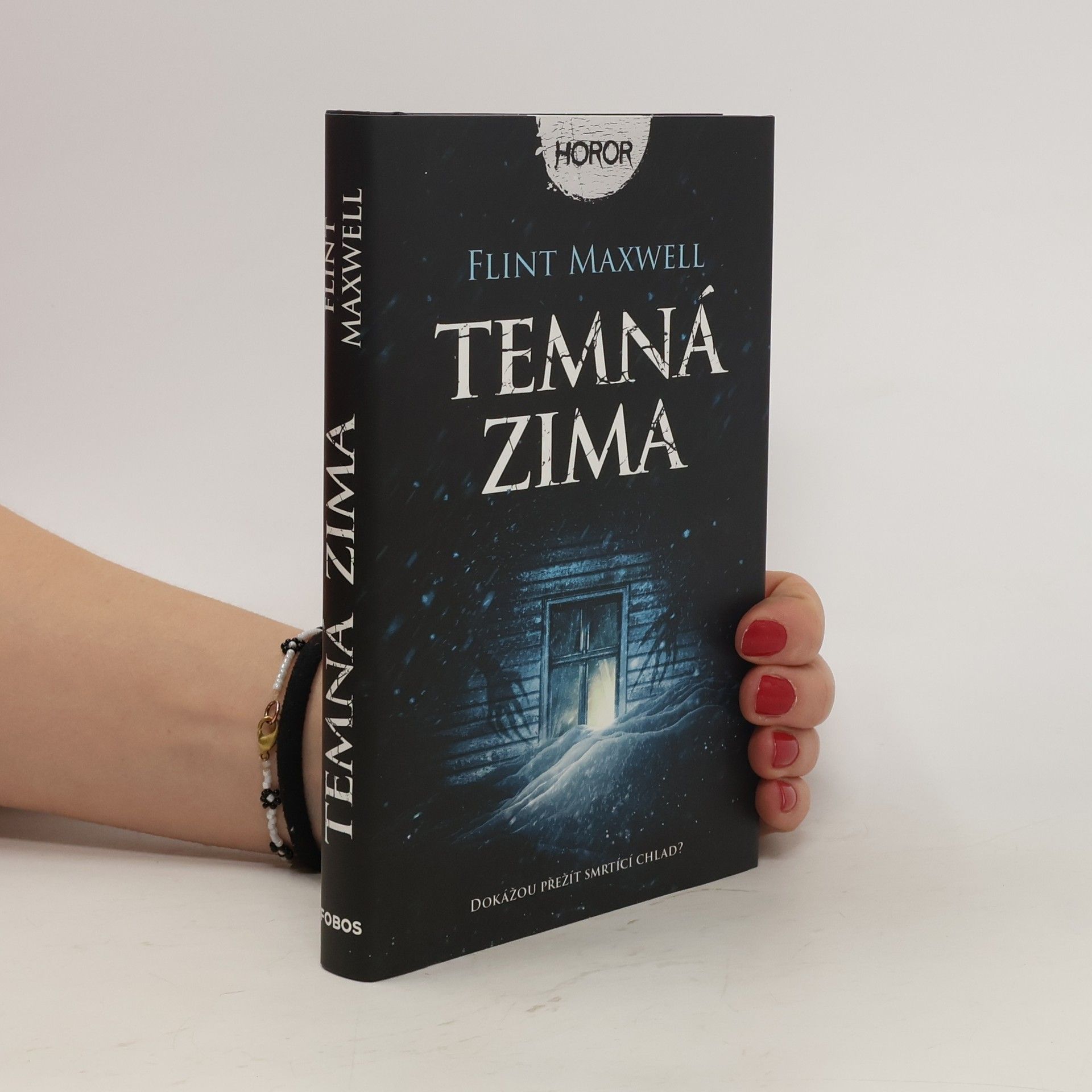 Flint Maxwell Temná zima