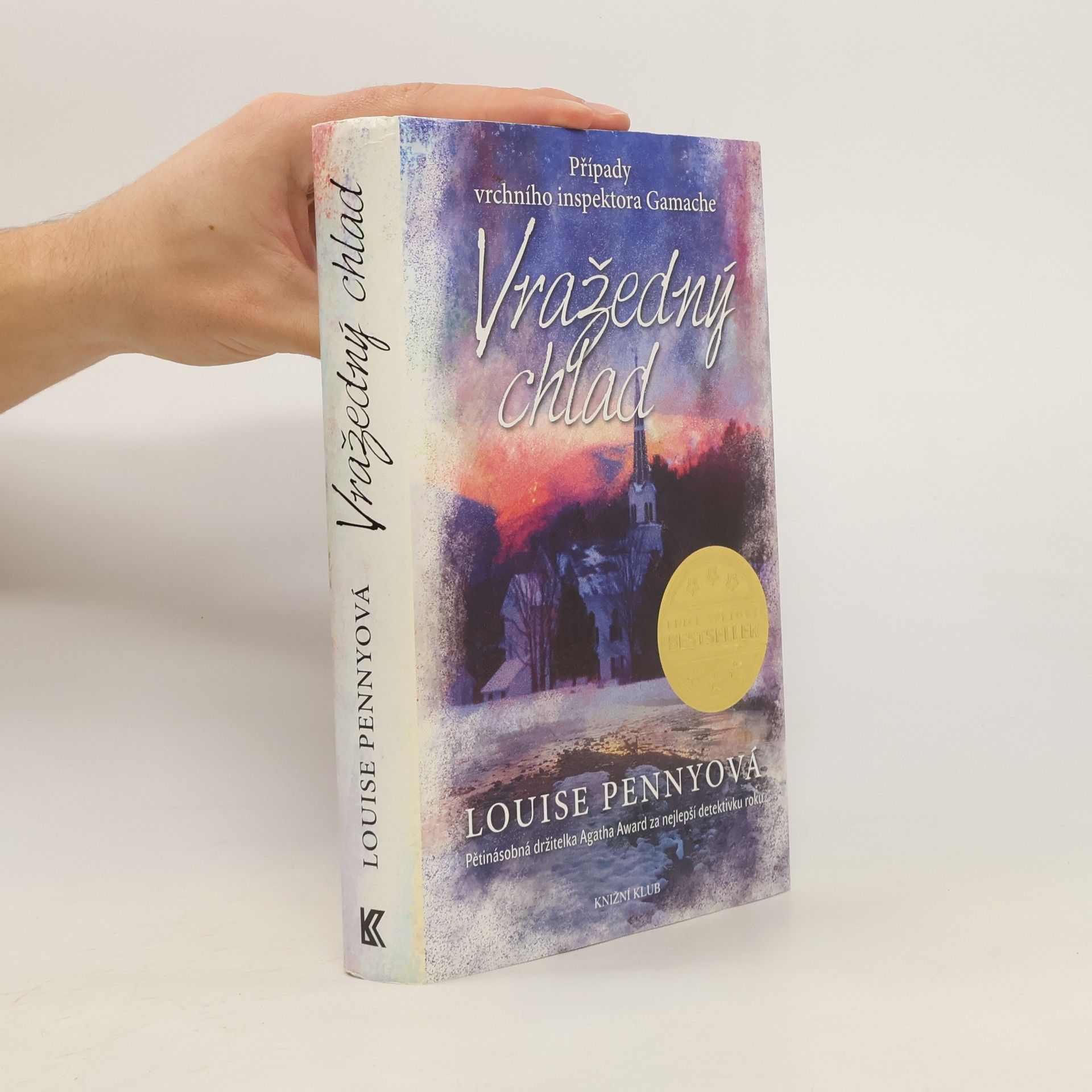 Louise Penny Vražedný chlad