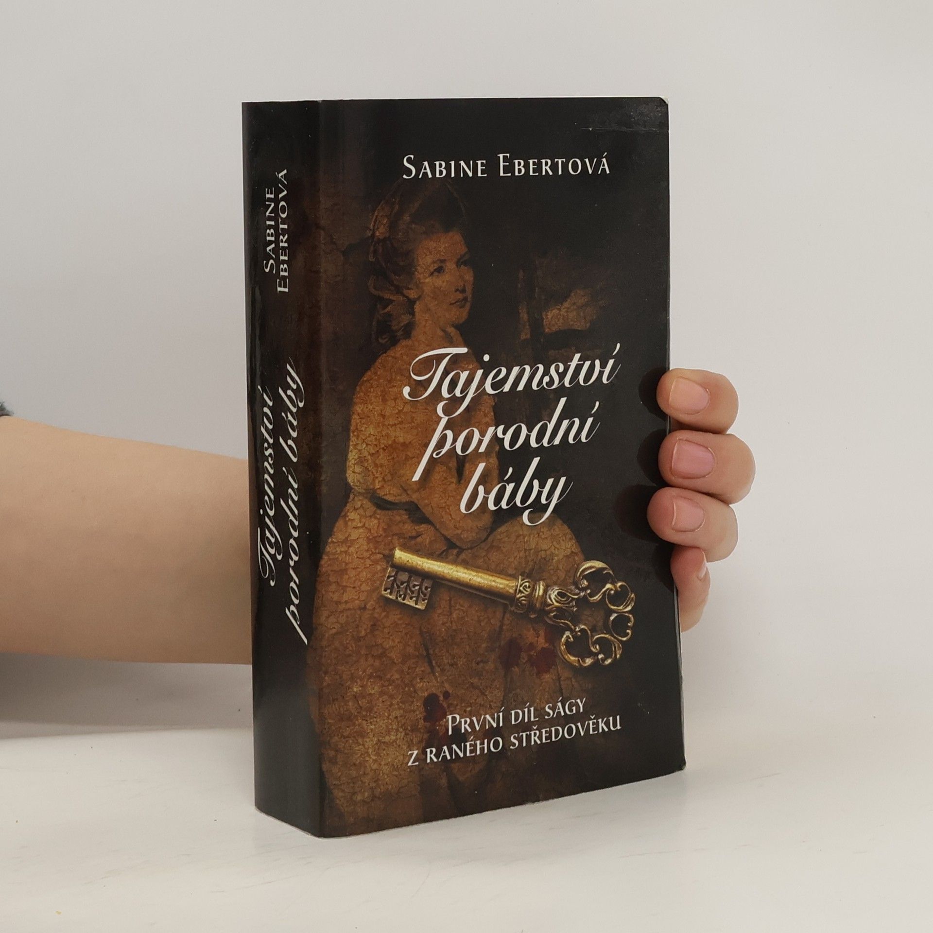 Sabine Ebert Tajemství porodní báby
