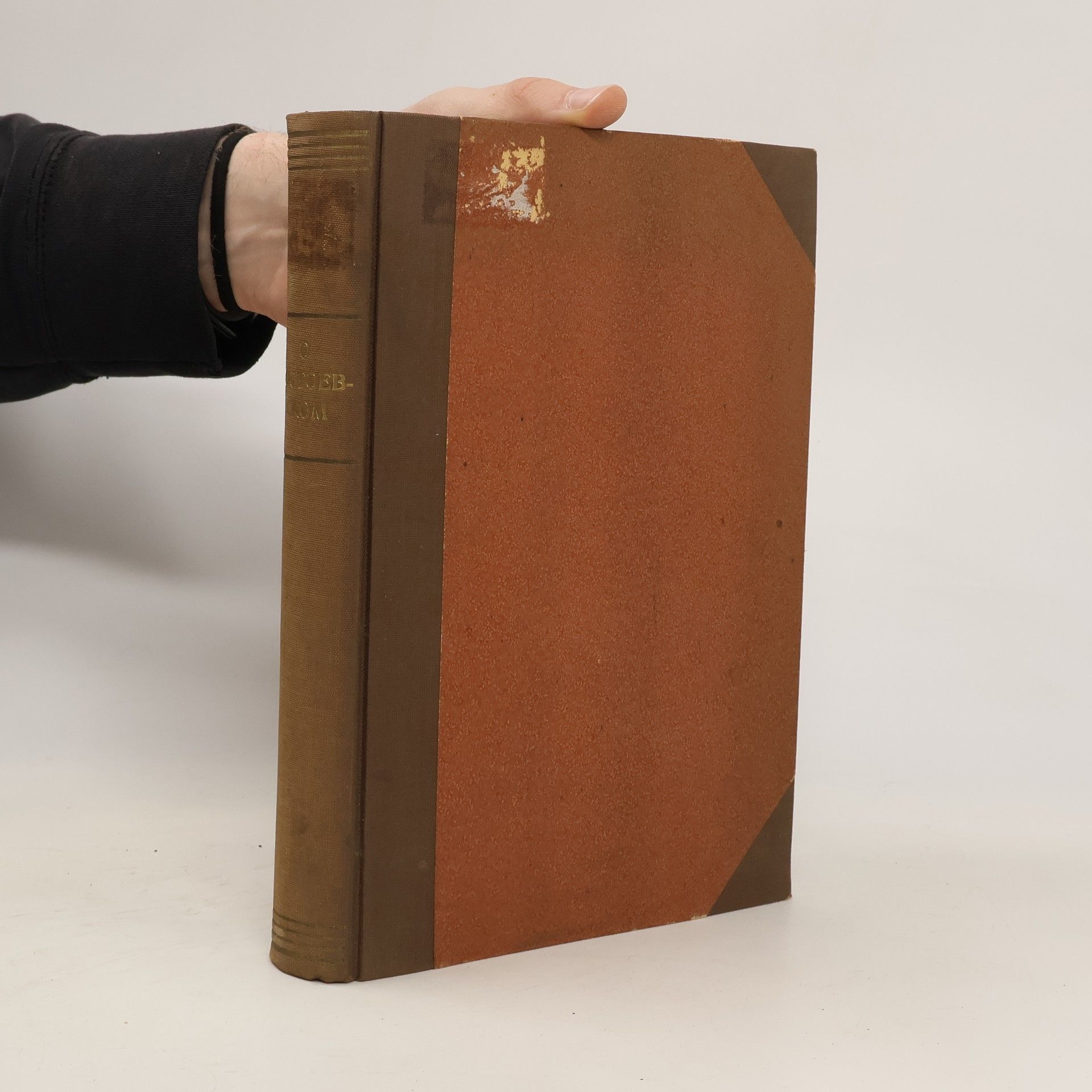 А. Л. БЕМА О Достоевском. Сборник статей