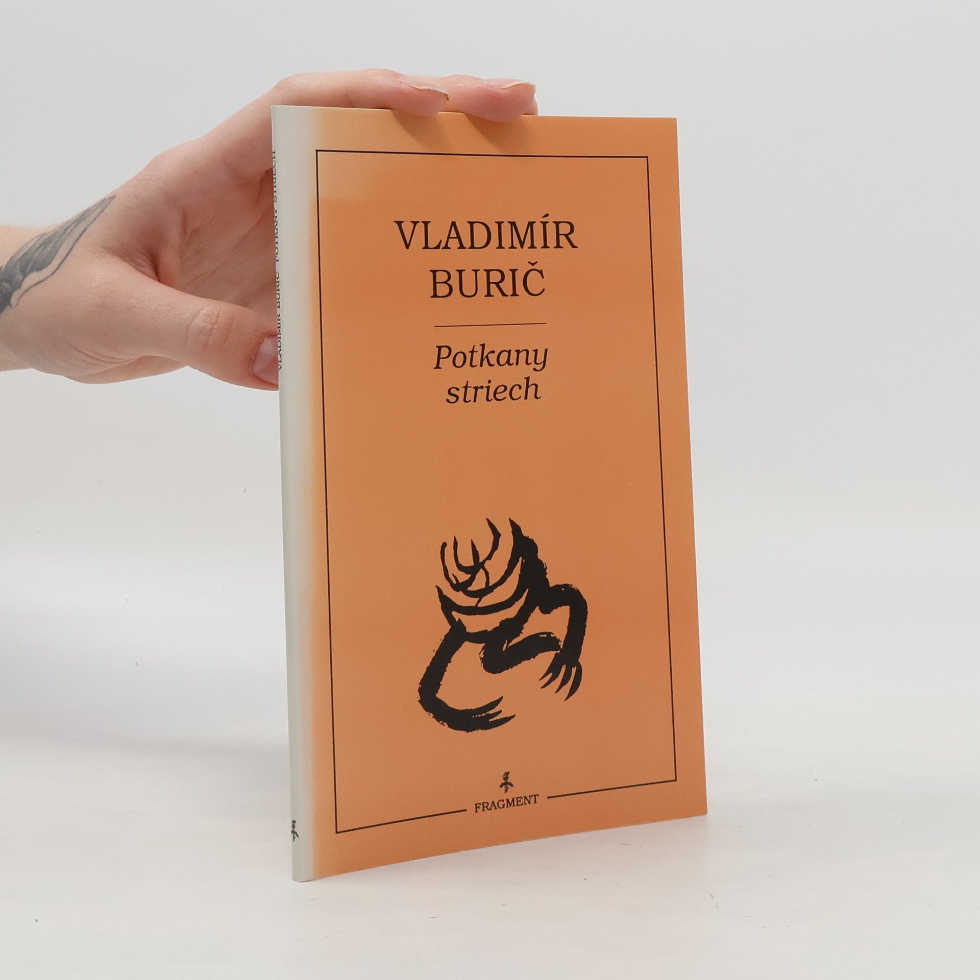 Vladimír Burič Potkany striech