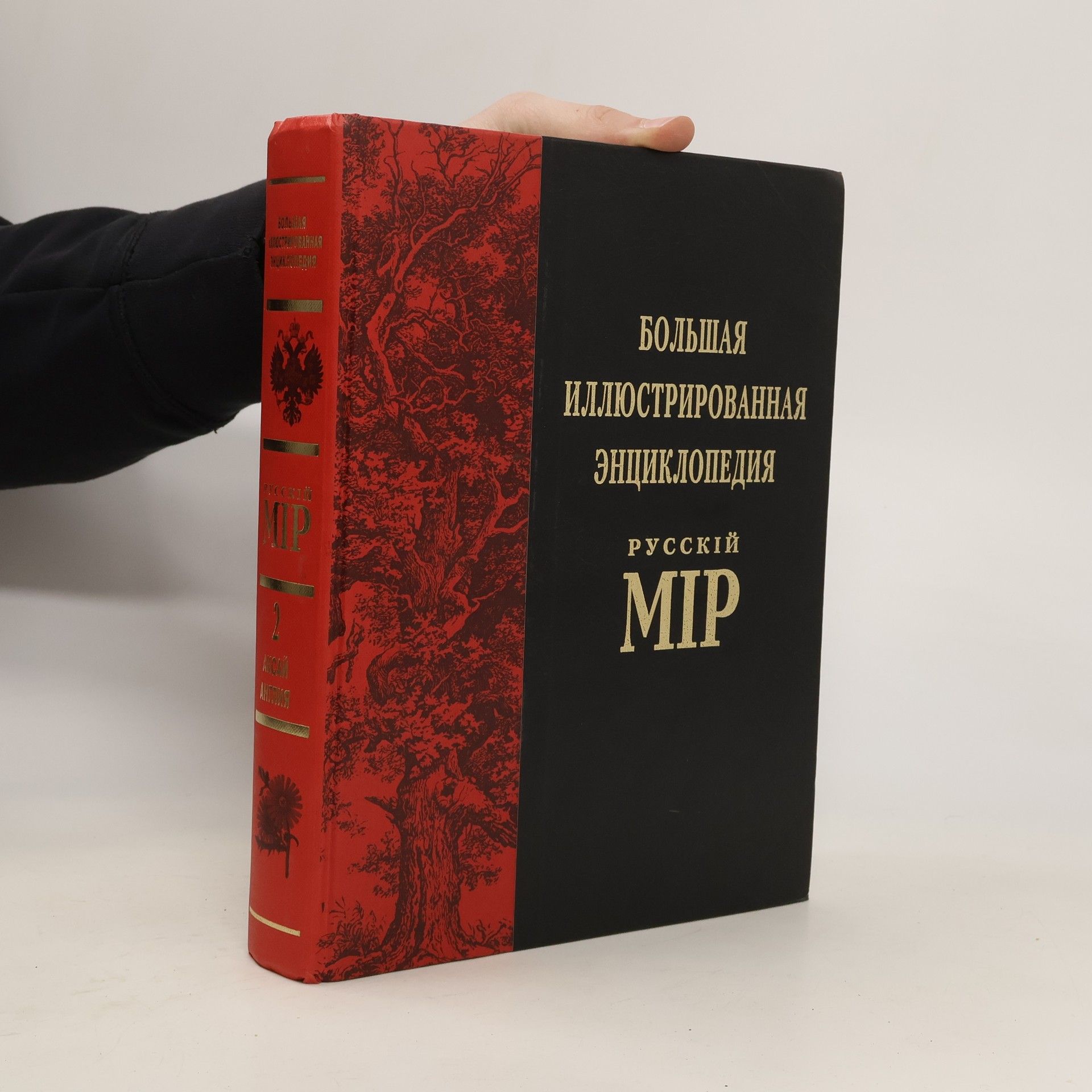 Kolektív autorov Большая Иллюстрированная Энциклопедия Русскій Мір
