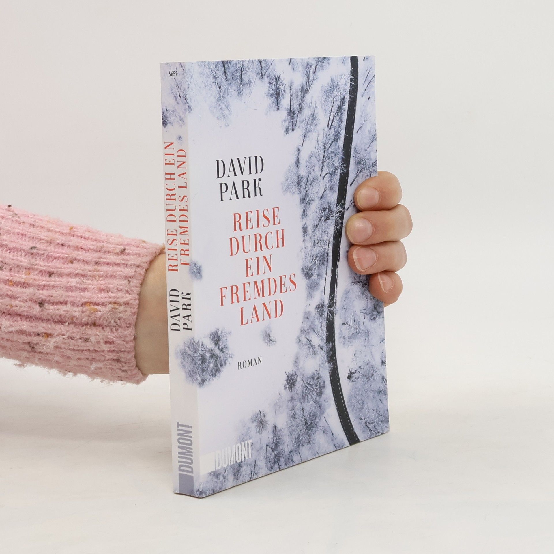 David Park Reise durch ein fremdes Land
