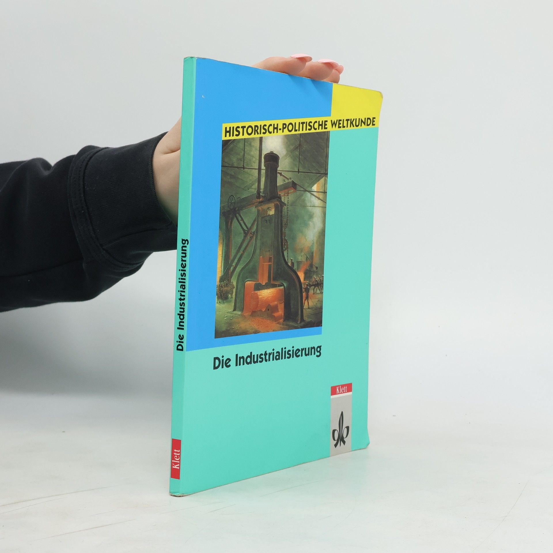 Michael Sauer Die Industrialisierung
