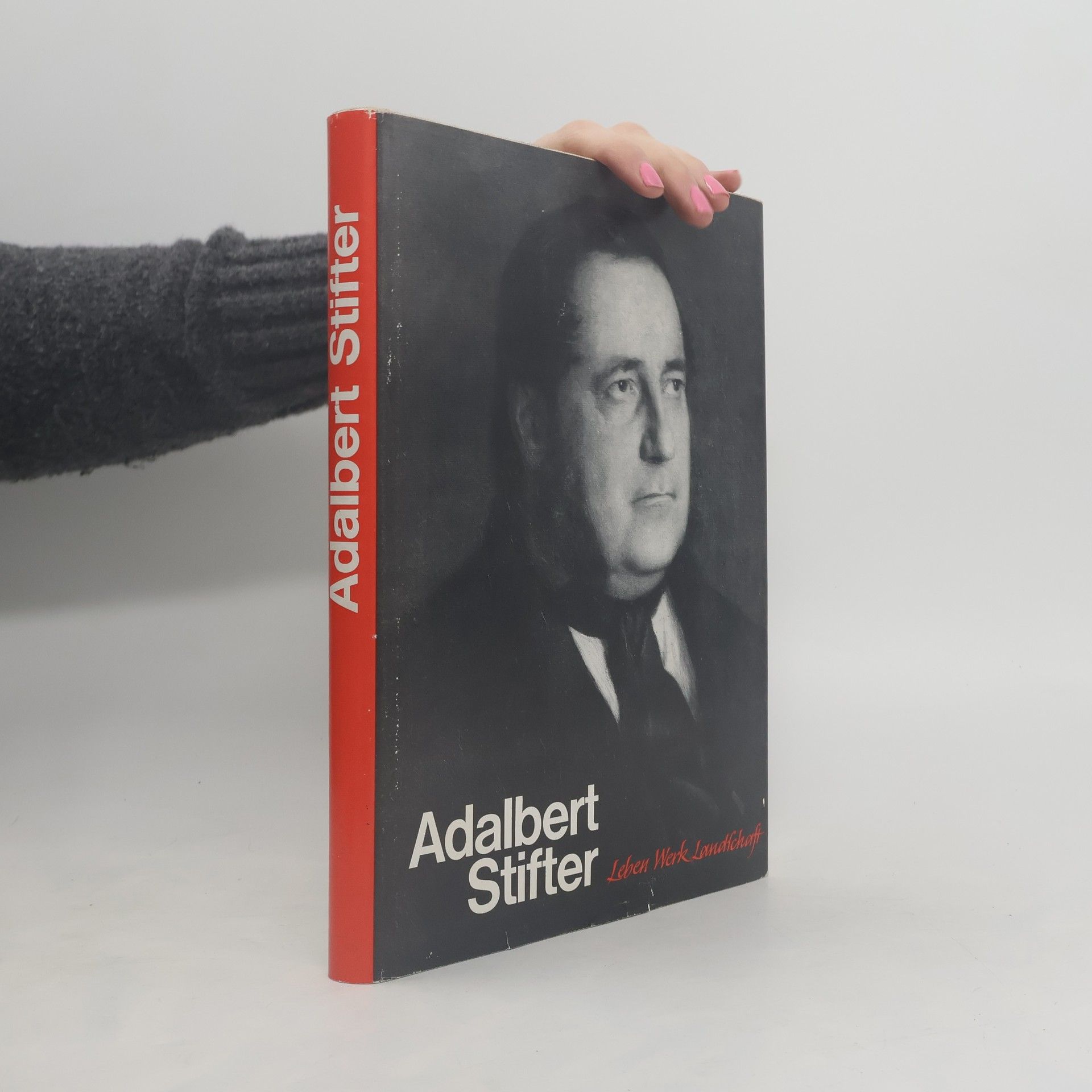 Alois Großschopf Adalbert Stifter. Leben, Werk, Landschaft