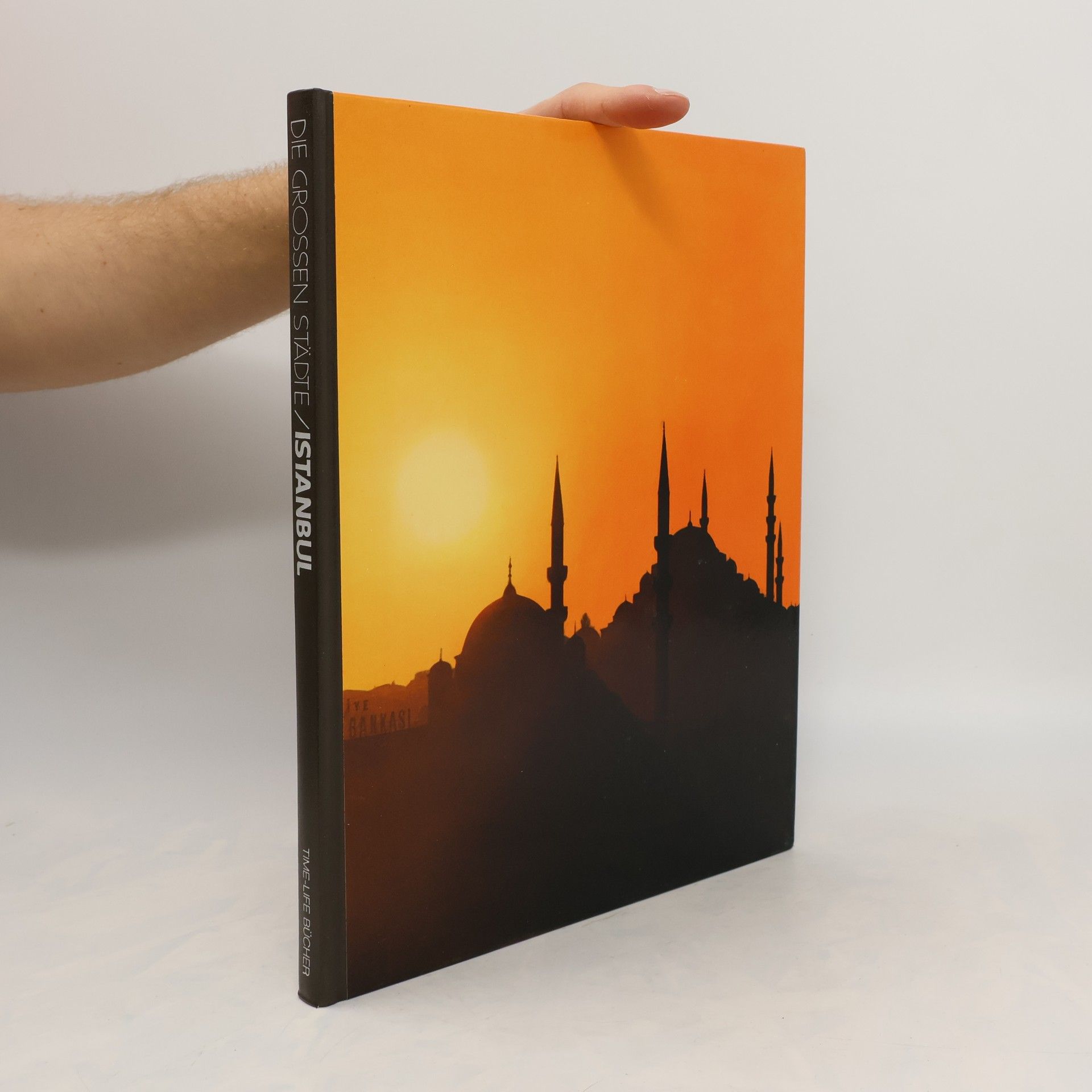 Colin Thubron Die grossen Städte: Istanbul