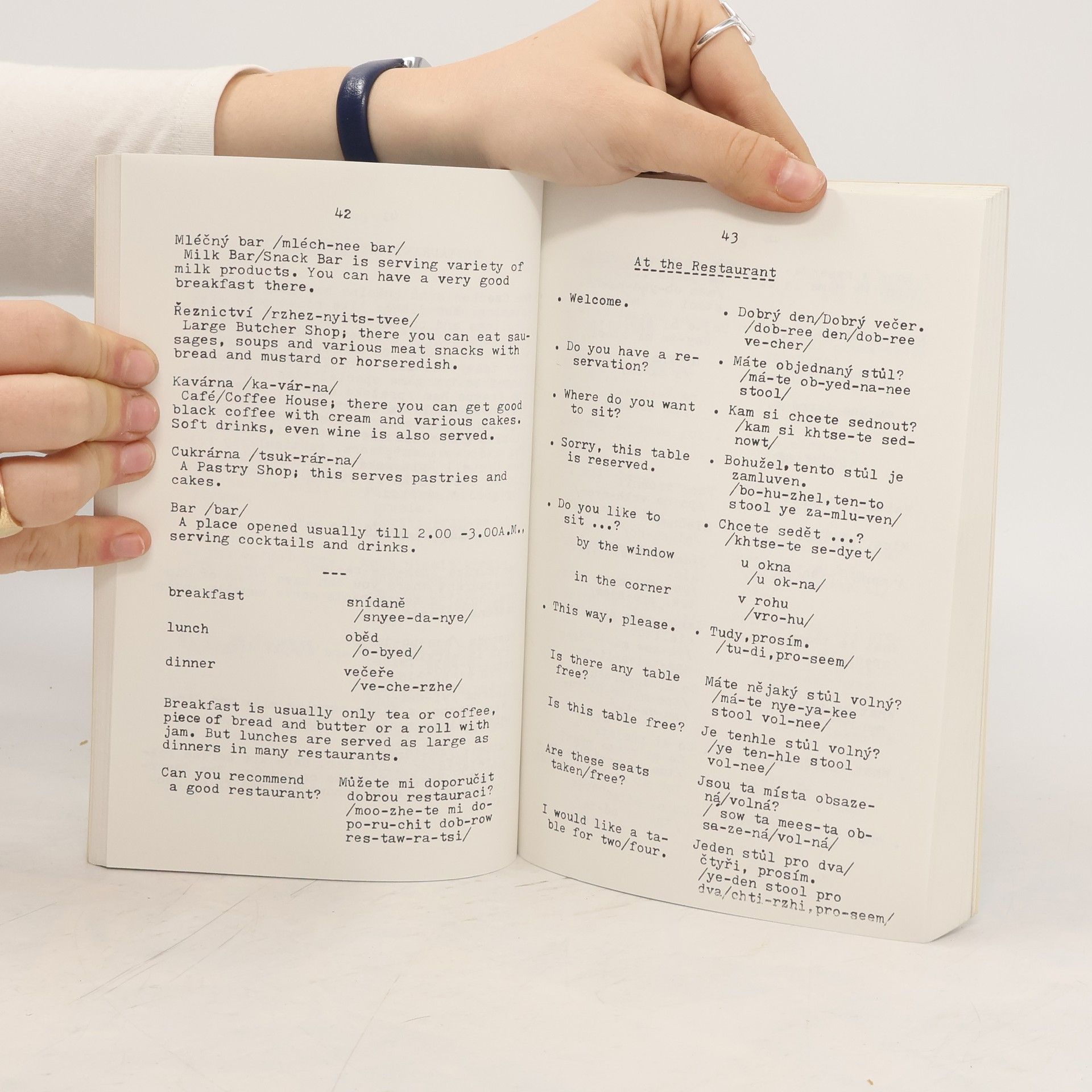 Nina Trnka Czech Phrasebook