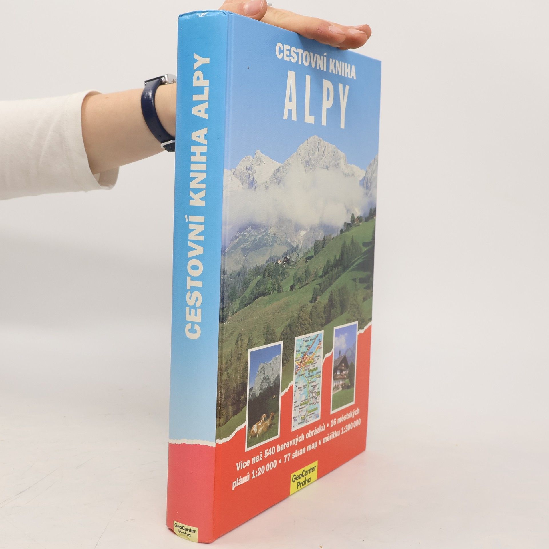 Dieter Maier Cestovní kniha : Alpy
