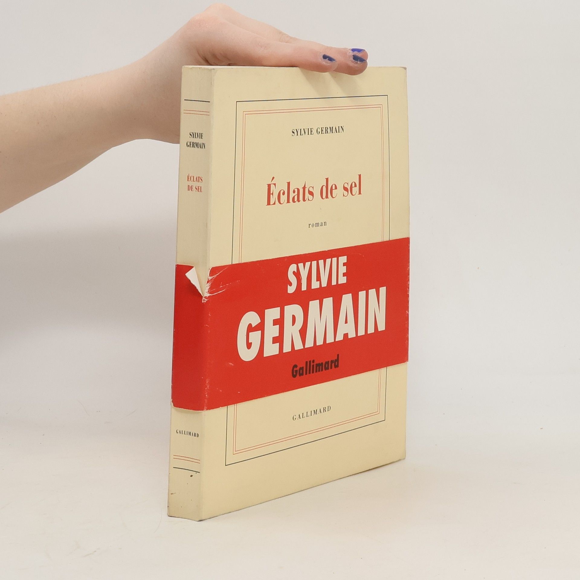 Sylvie Germain Eclats de sel