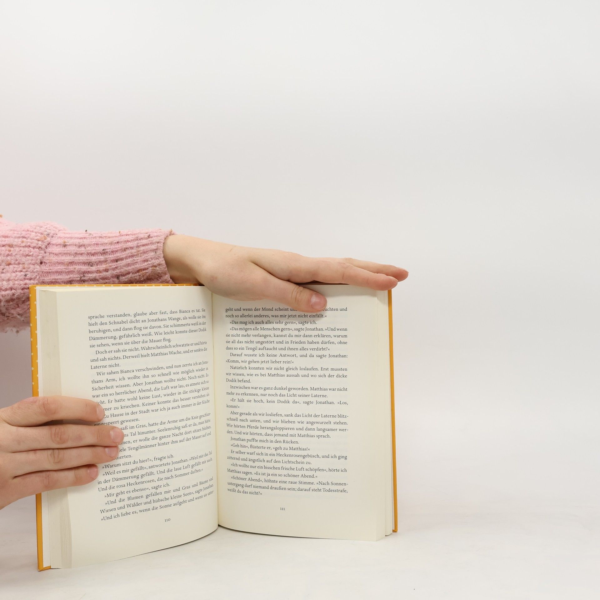 Astrid Lindgren Die Brüder Löwenherz