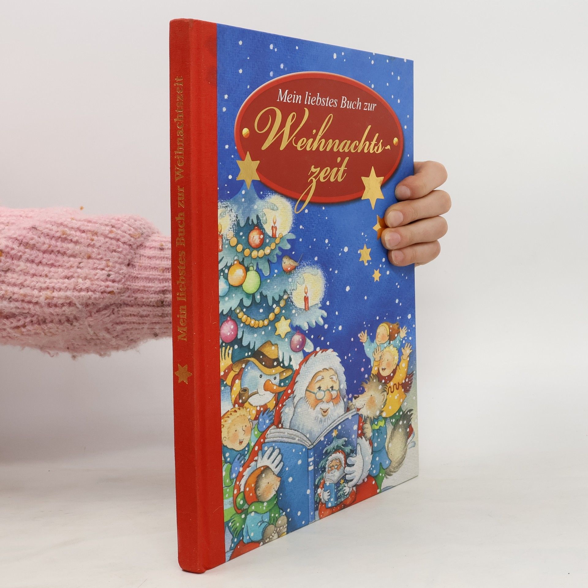 Anne-Marie Frisque Mein liebstes Buch zur Weihnachtszeit