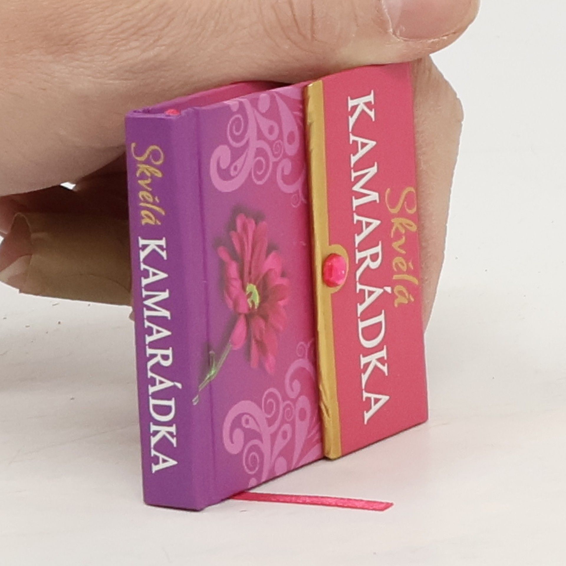 Kolektív autorov Skvělá kamarádka