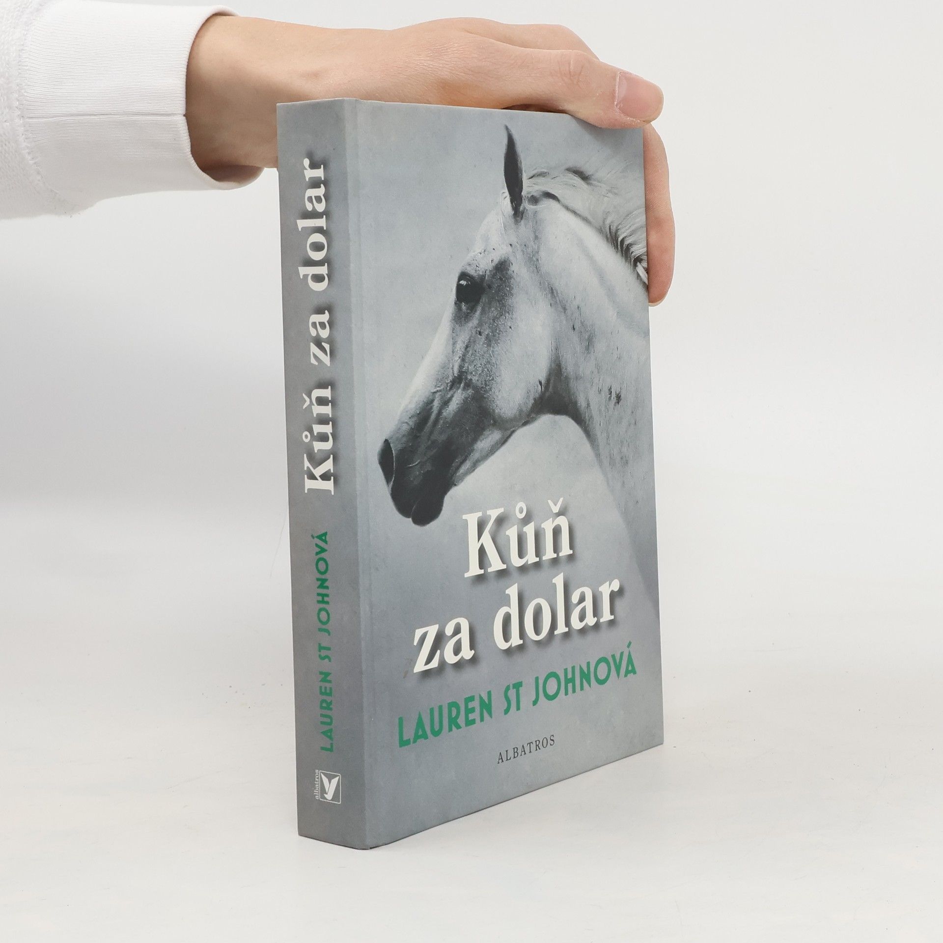 Lauren St. John Kůň za dolar