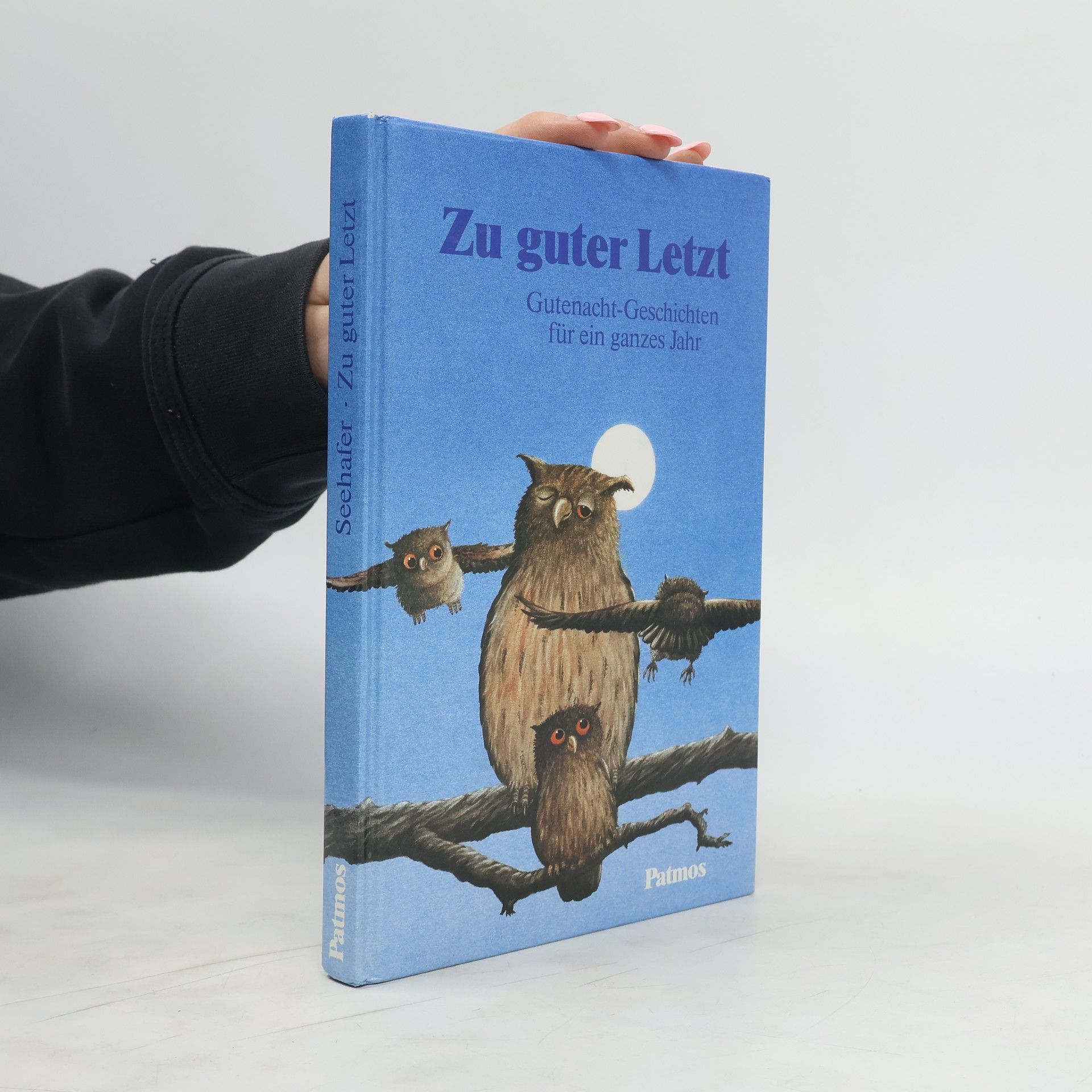 Klaus Seehafer Zu guter Letzt. Gutenacht-Geschichten für ein ganzes Jahr