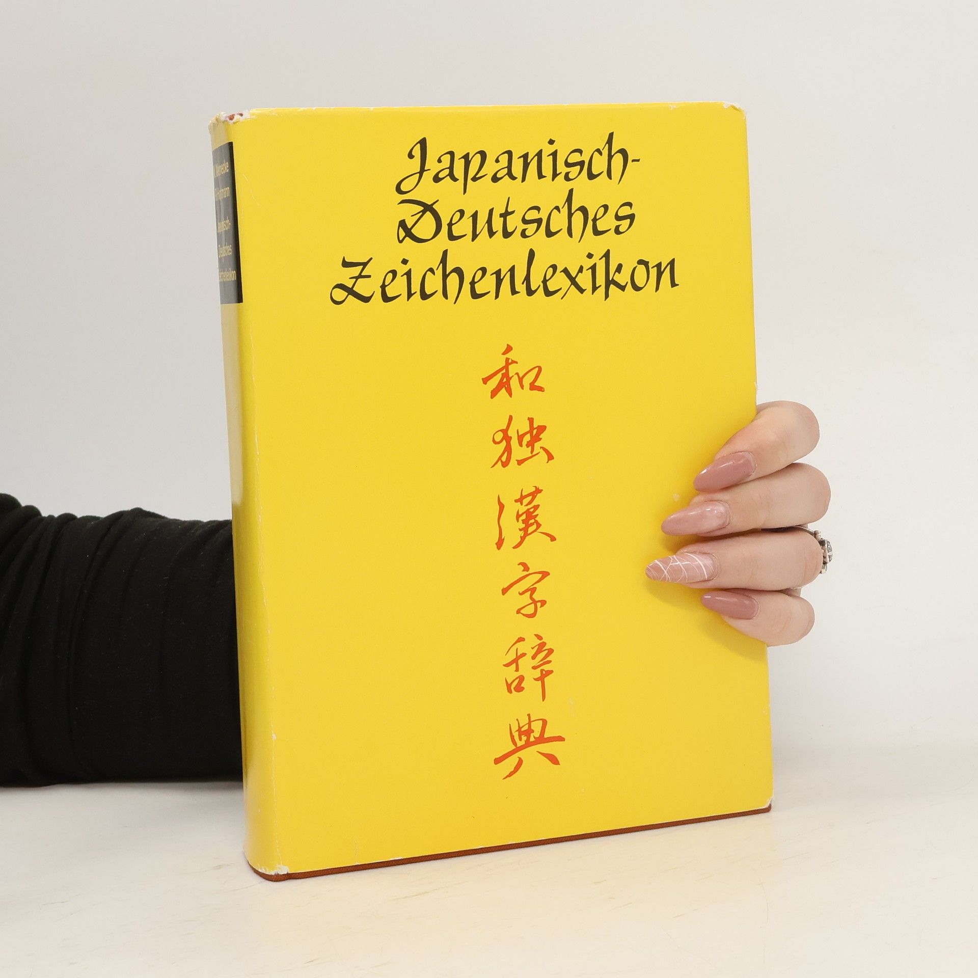 Wolfgang Wernecke Japanisch-Deutsches Zeichenlexikon