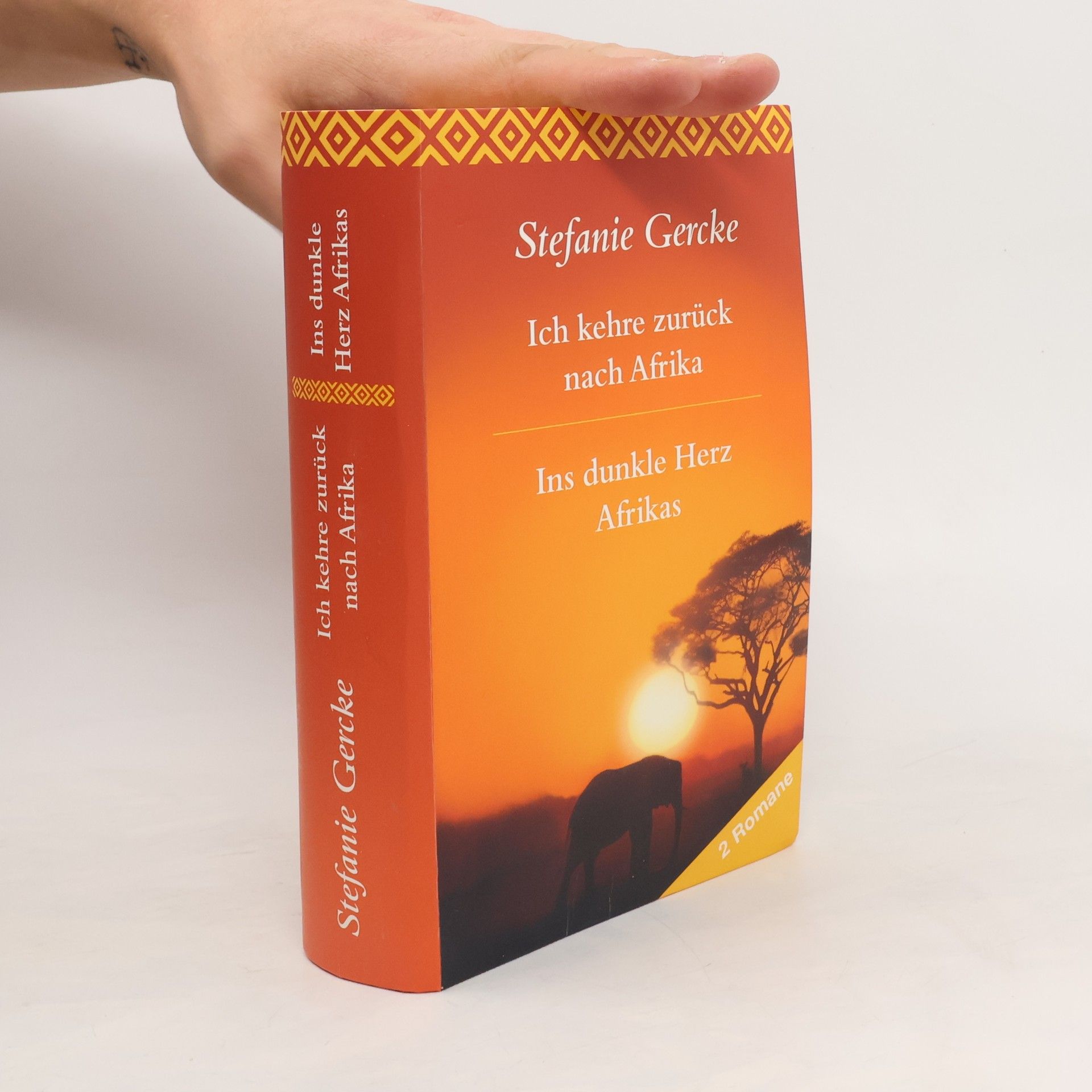 Stefanie Gercke Ich kehre zurück nach Afrika. Ins dunkle Herz Afrikas