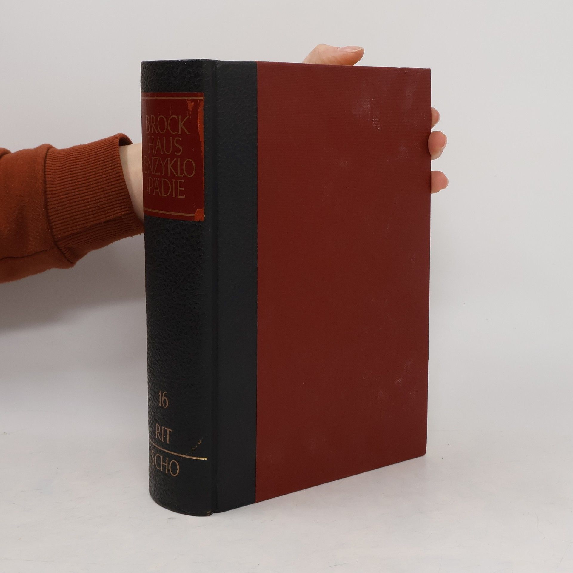 Autorenkollektiv Brockhaus Enzyklopädie. Sechzehnter Band. Rit-Scho