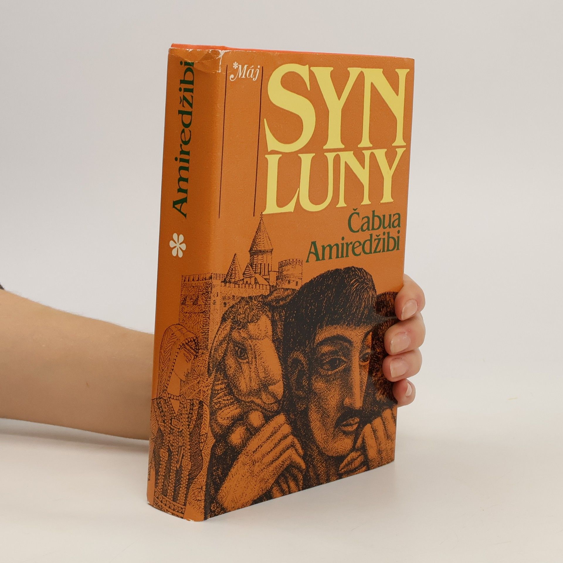 Čabua Amireǧibi Syn Luny