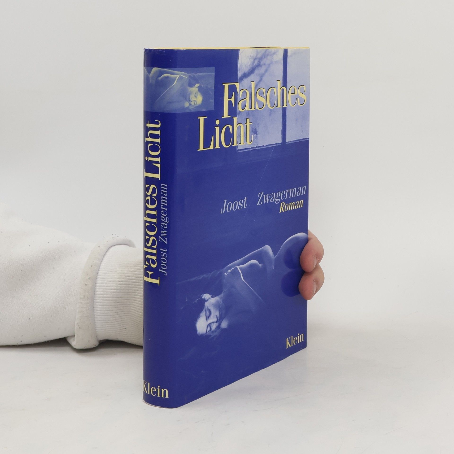 Joost Zwagerman Falsches Licht