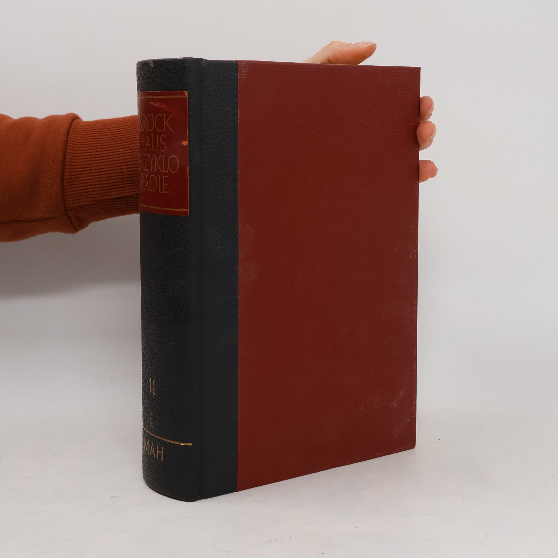 Collectif d'auteurs Brockhaus Enzyklopädie 11. L-MAH