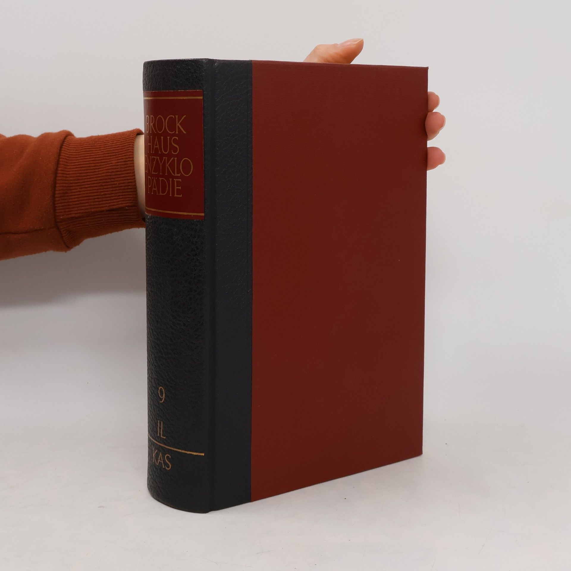 kolektiv Brockhaus Enzyklopädie 9