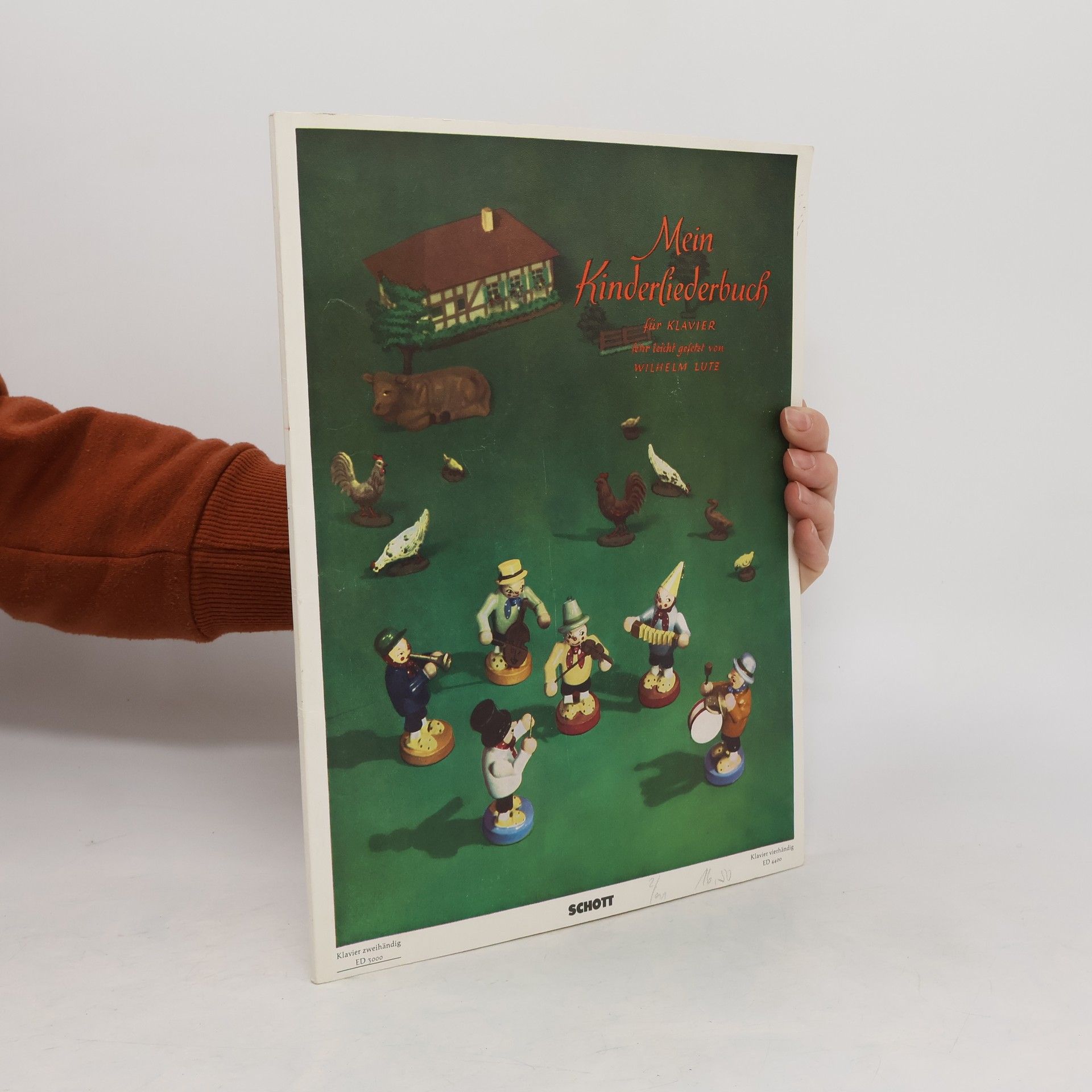 Kolektiv autorů Mein Kinderfiederbuch