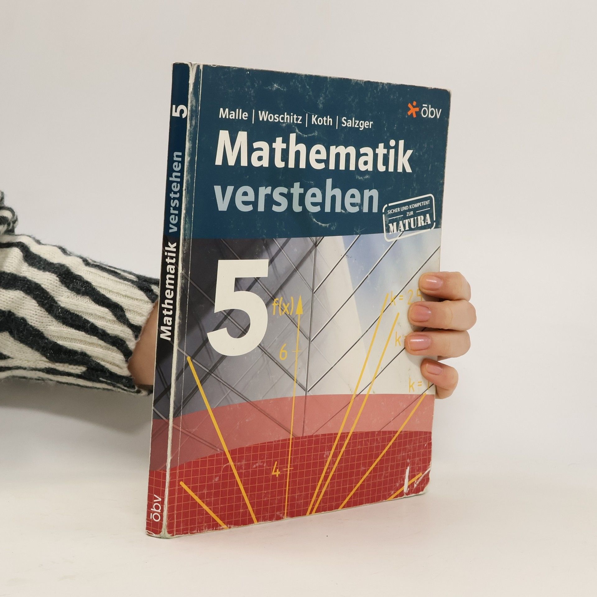 Günther Malle Mathematik verstehen 5
