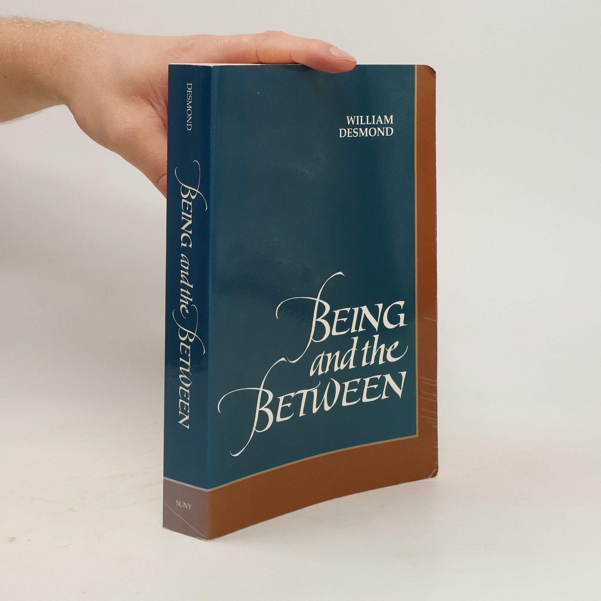 William Desmond Being and the Between