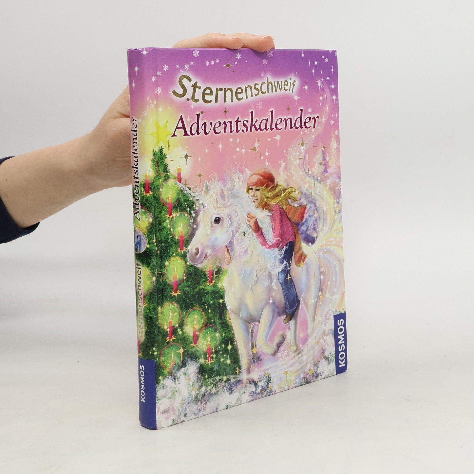 Carolin Ina Schröter Sternenschweif-Adventskalender