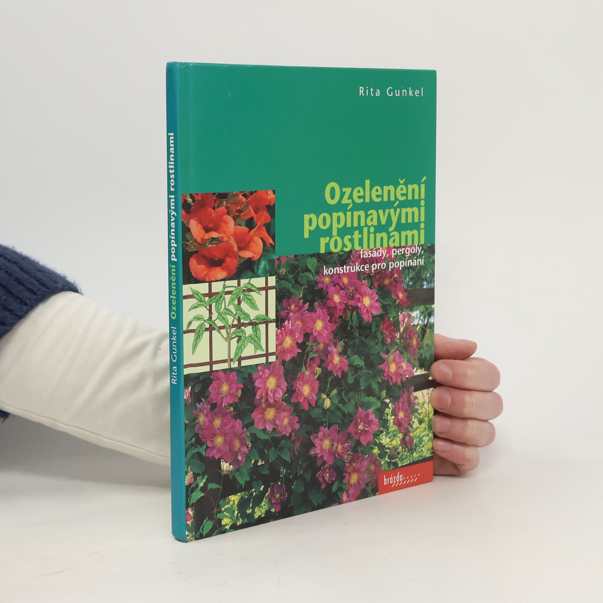 Rita Gunkel Ozelenění popínavými rostlinami