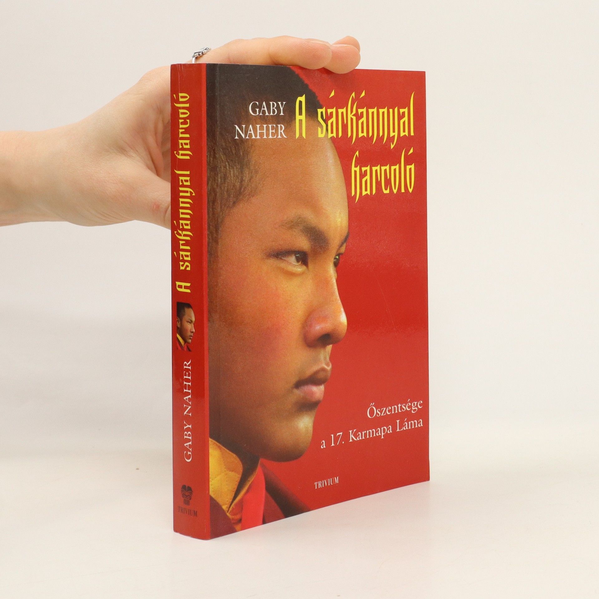 AA.VV. A sárkánnyal harcoló