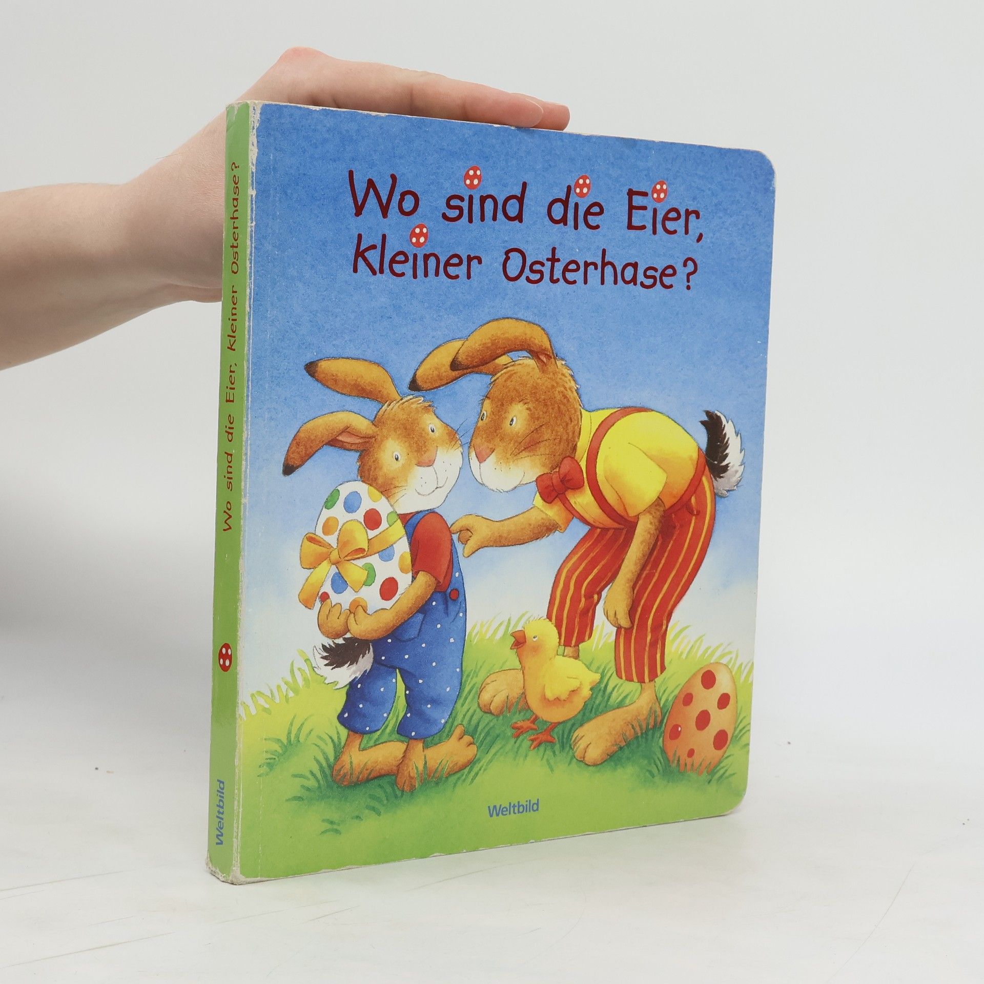 Gabriele Dal Lago Wo sind die Eier kleiner Osterhase?