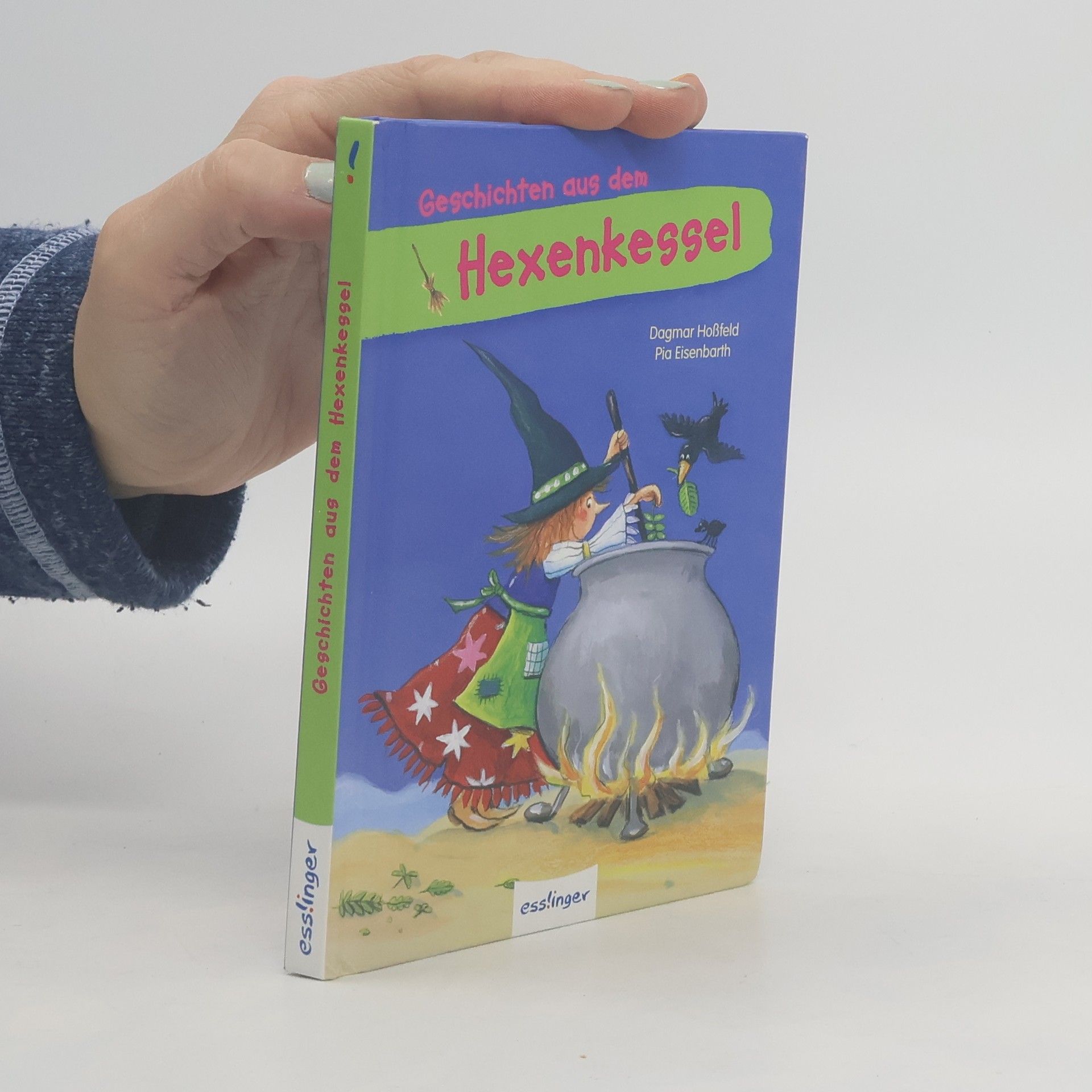 Dagmar Hoßfeld Geschichten aus dem Hexenkessel