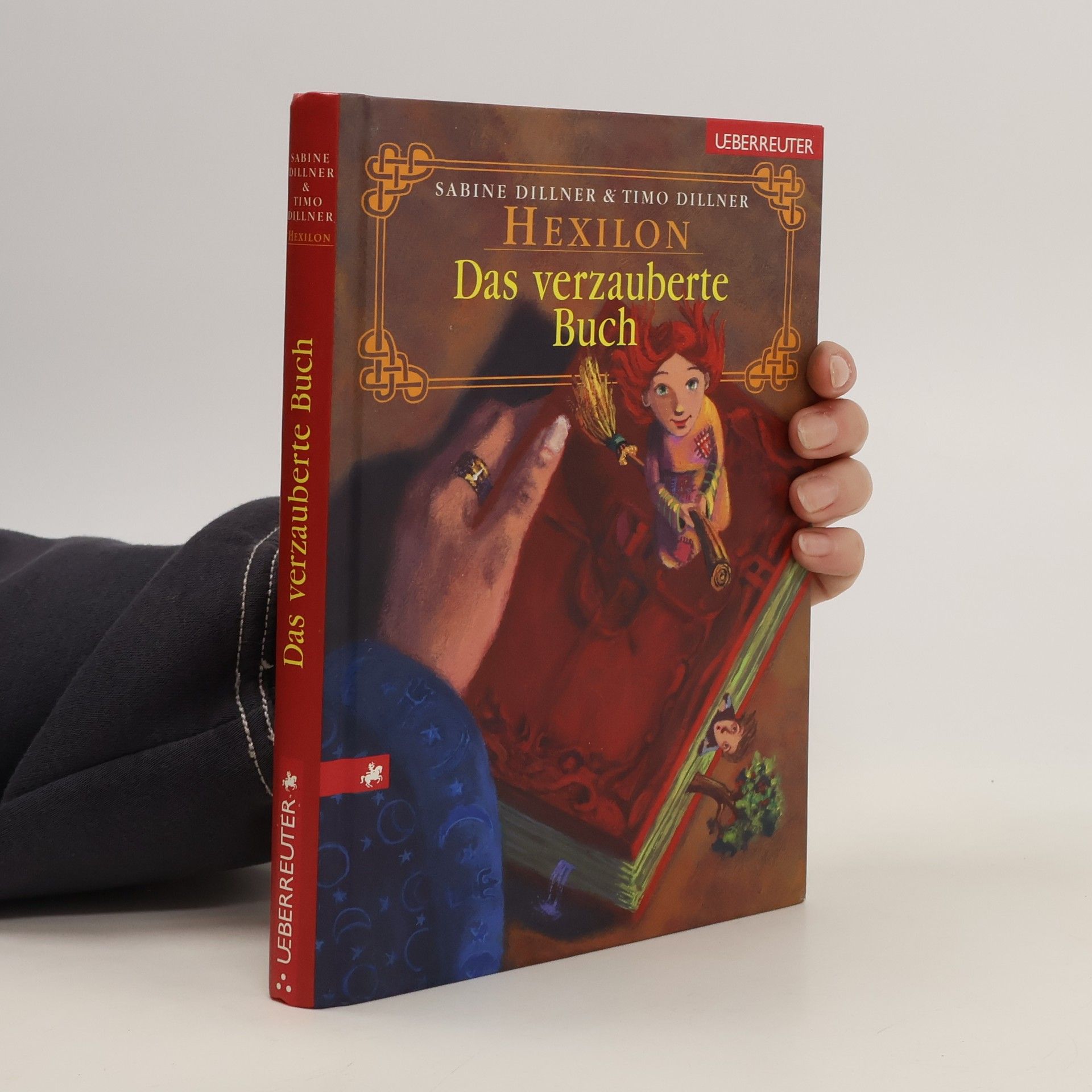 Sabine Dillner Das verzauberte Buch